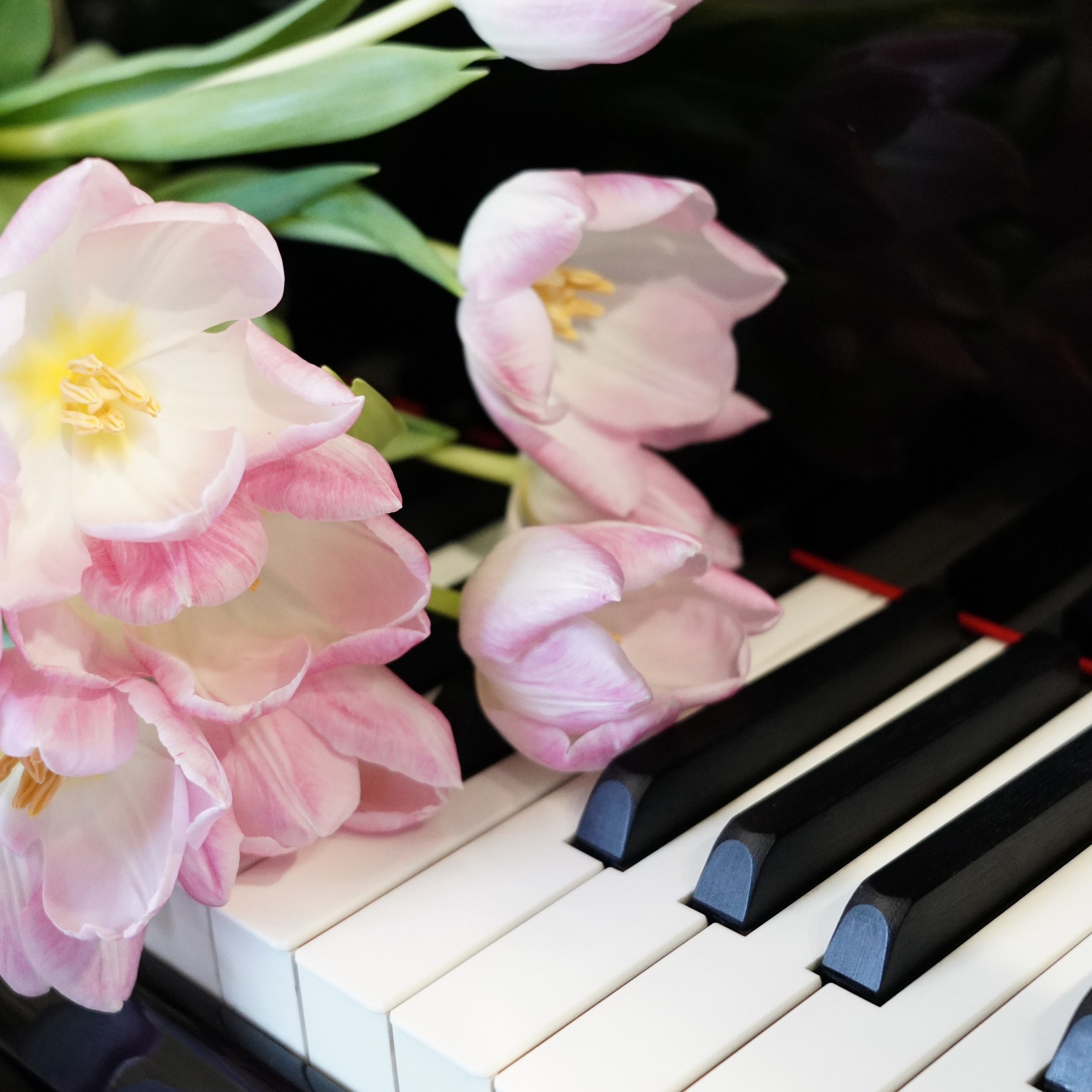 Услуги. Музыкальные занятия с бережным подходом 🎶 Музыкальная мастерская Юлии Поповой