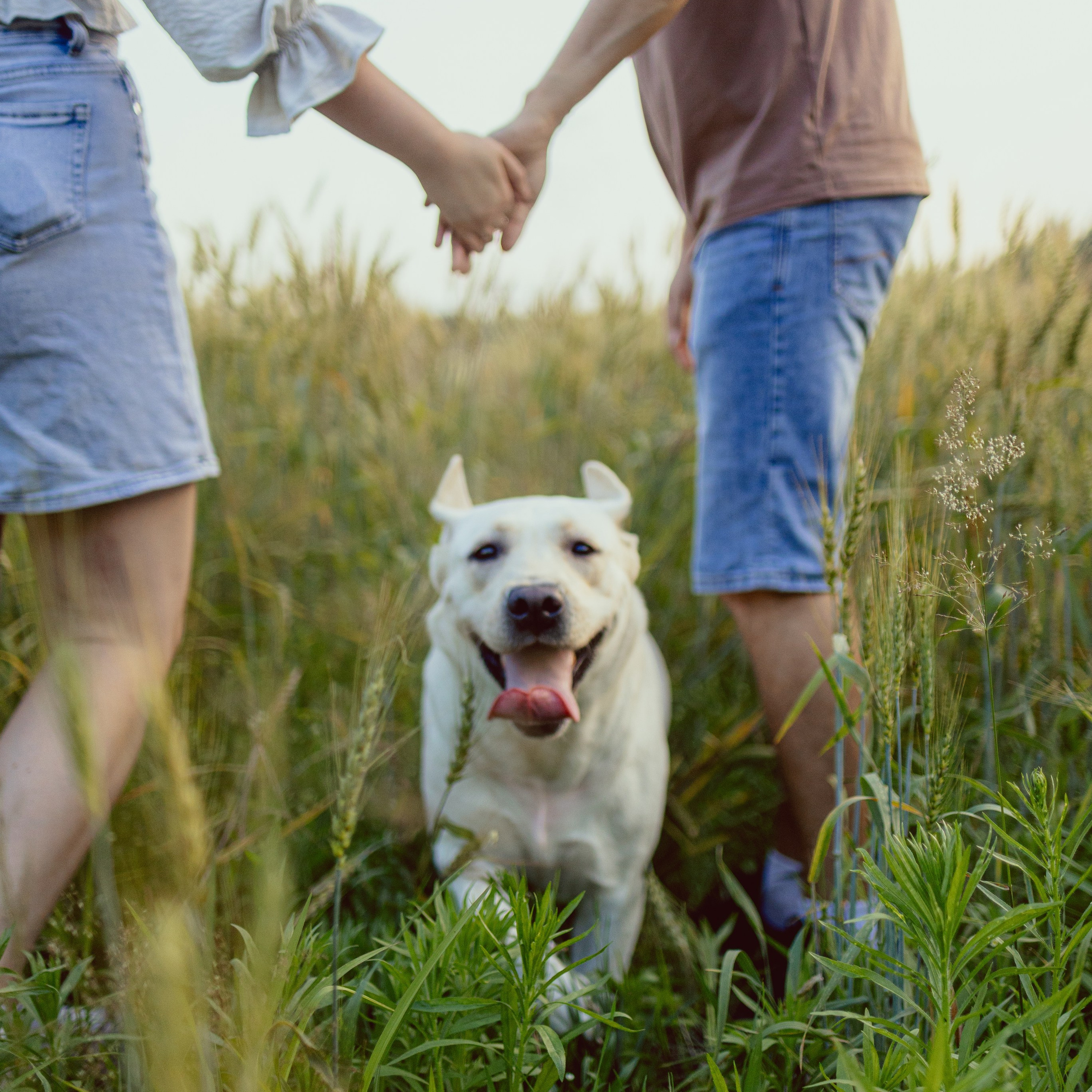 Ваш фотограф Наталья Лаэтина