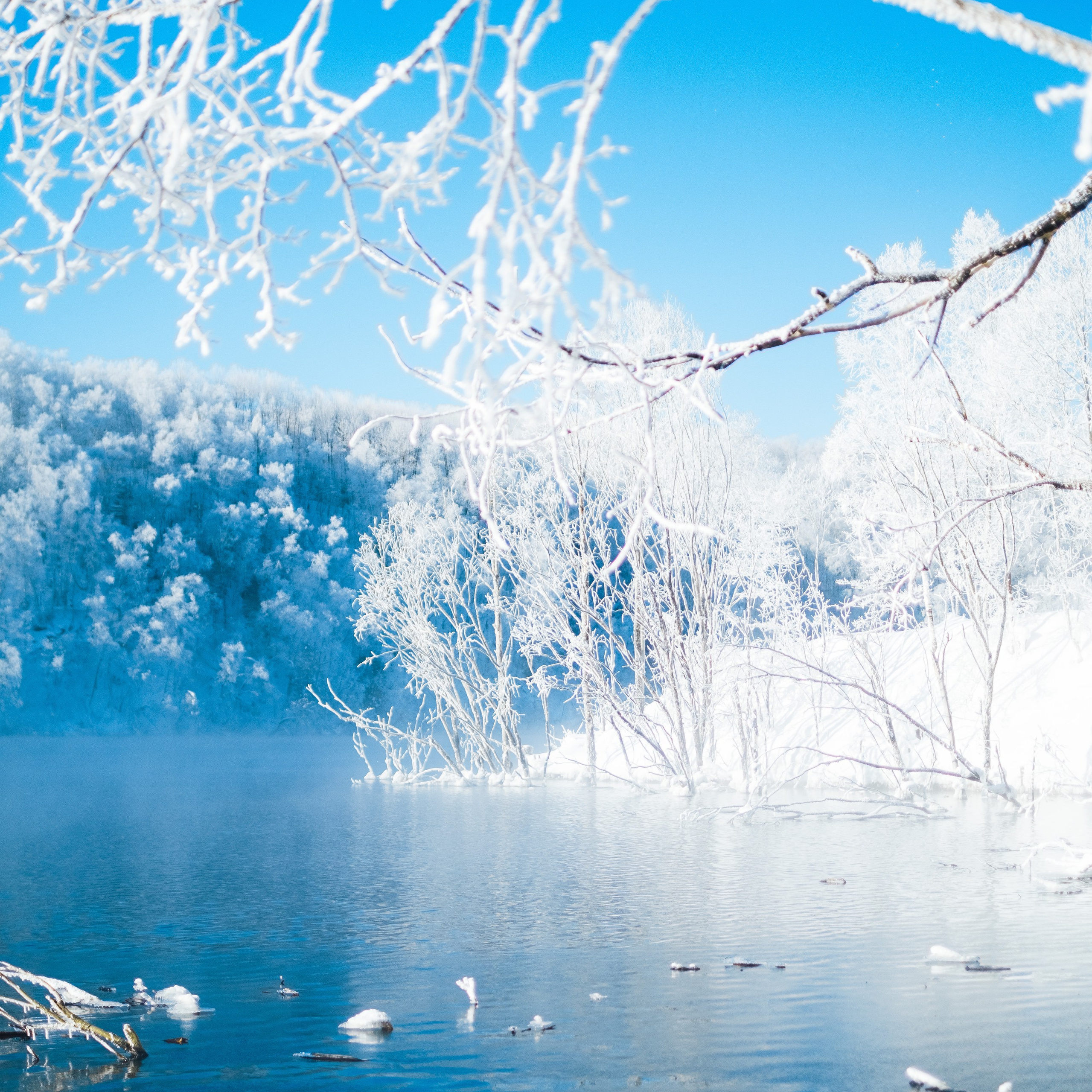 Фотограф Благовещенска Яна