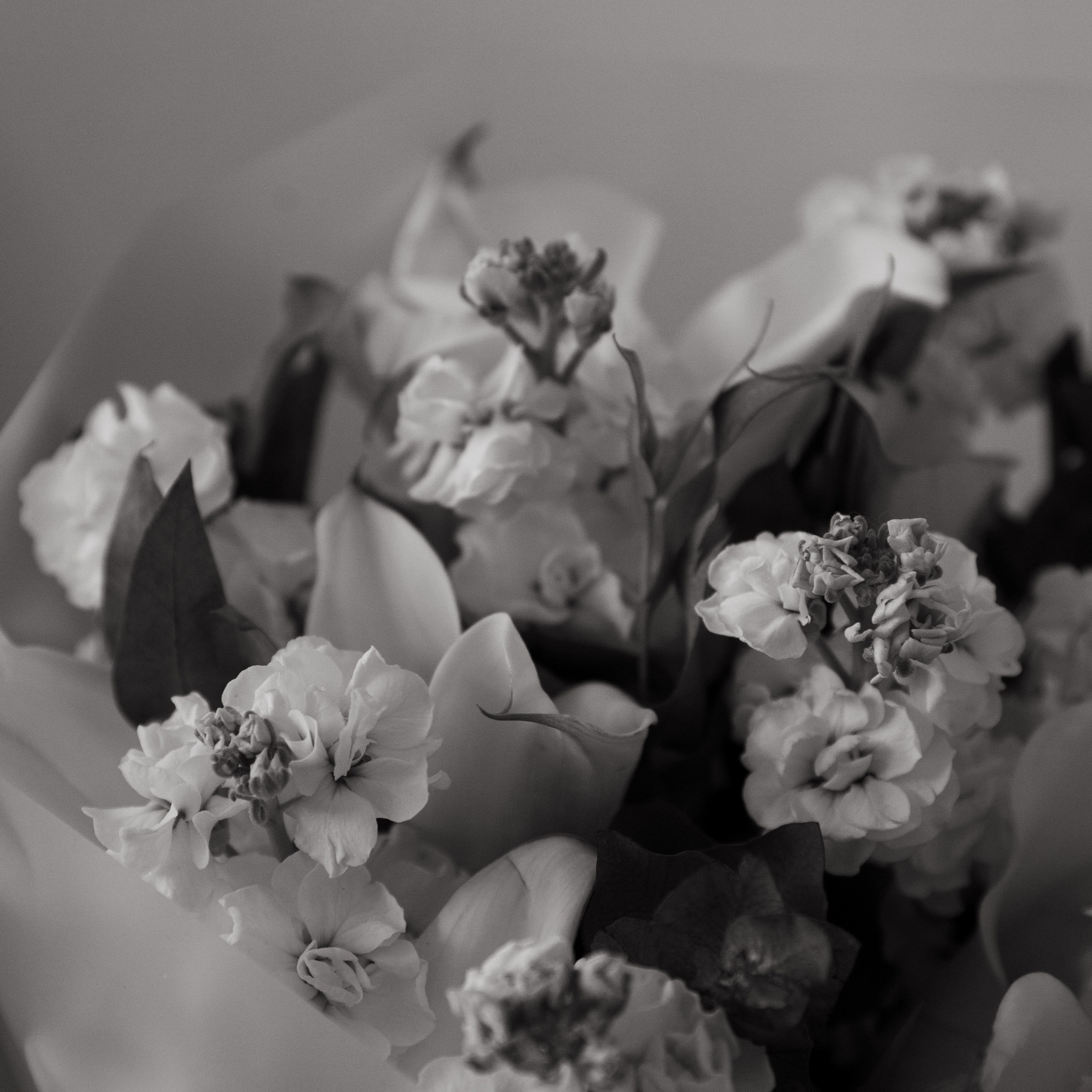 Свадебные съемки. KILSLANA PHOTO