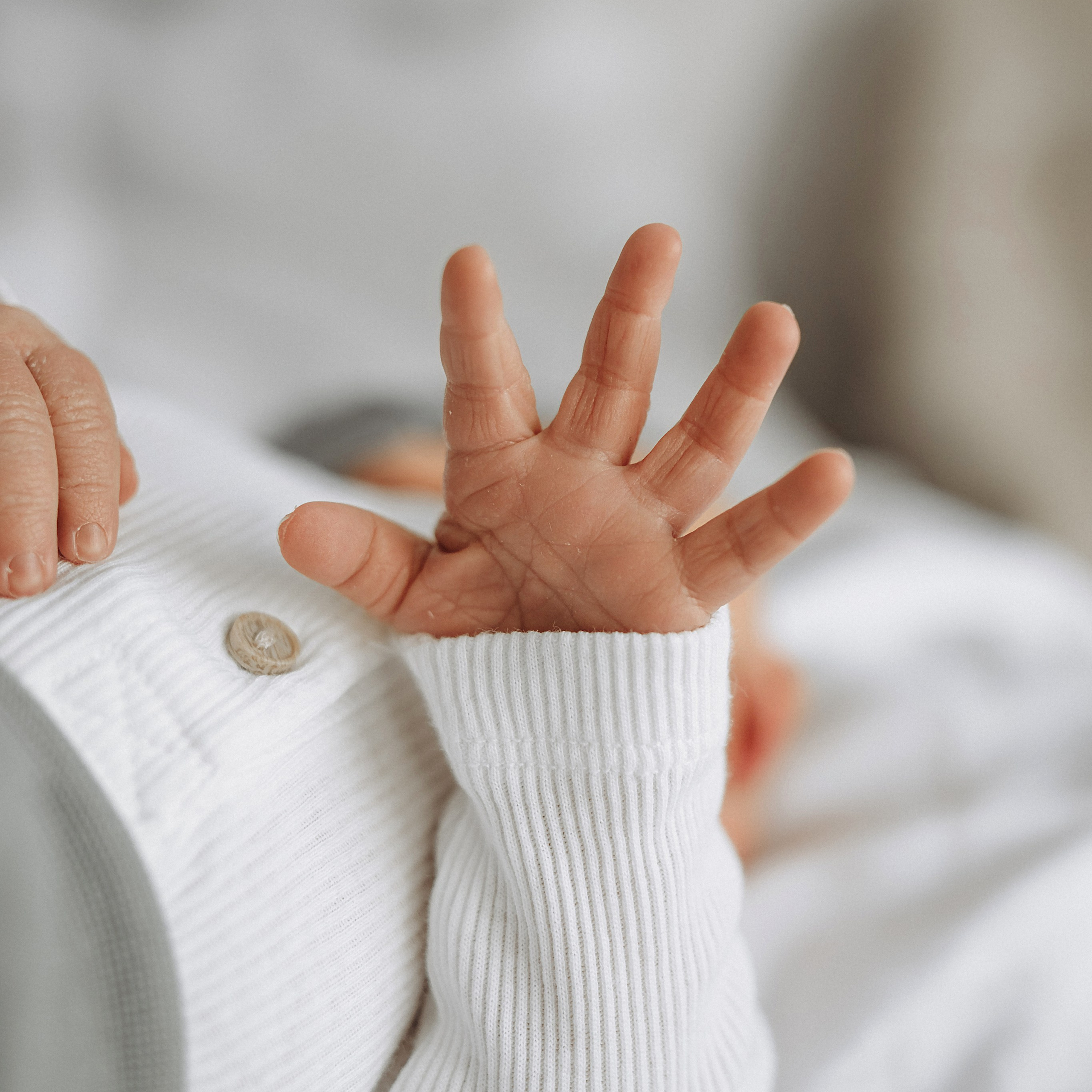 Услуги. Семейный и детский фотограф в Санкт-Петербурге