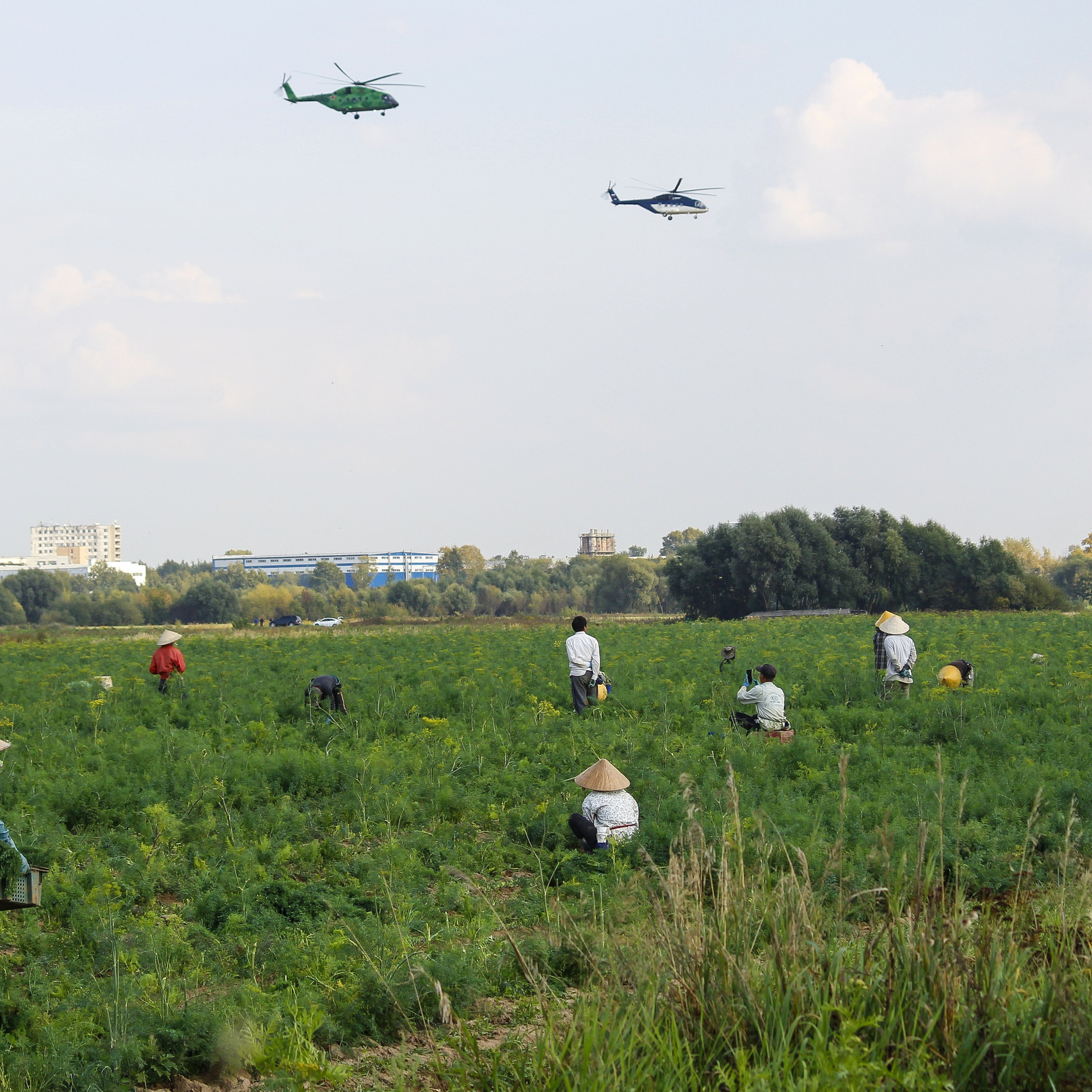 «Лето в городе». Фотовыставки serebro.gallery, в которых автором можешь стать ты! | Москва