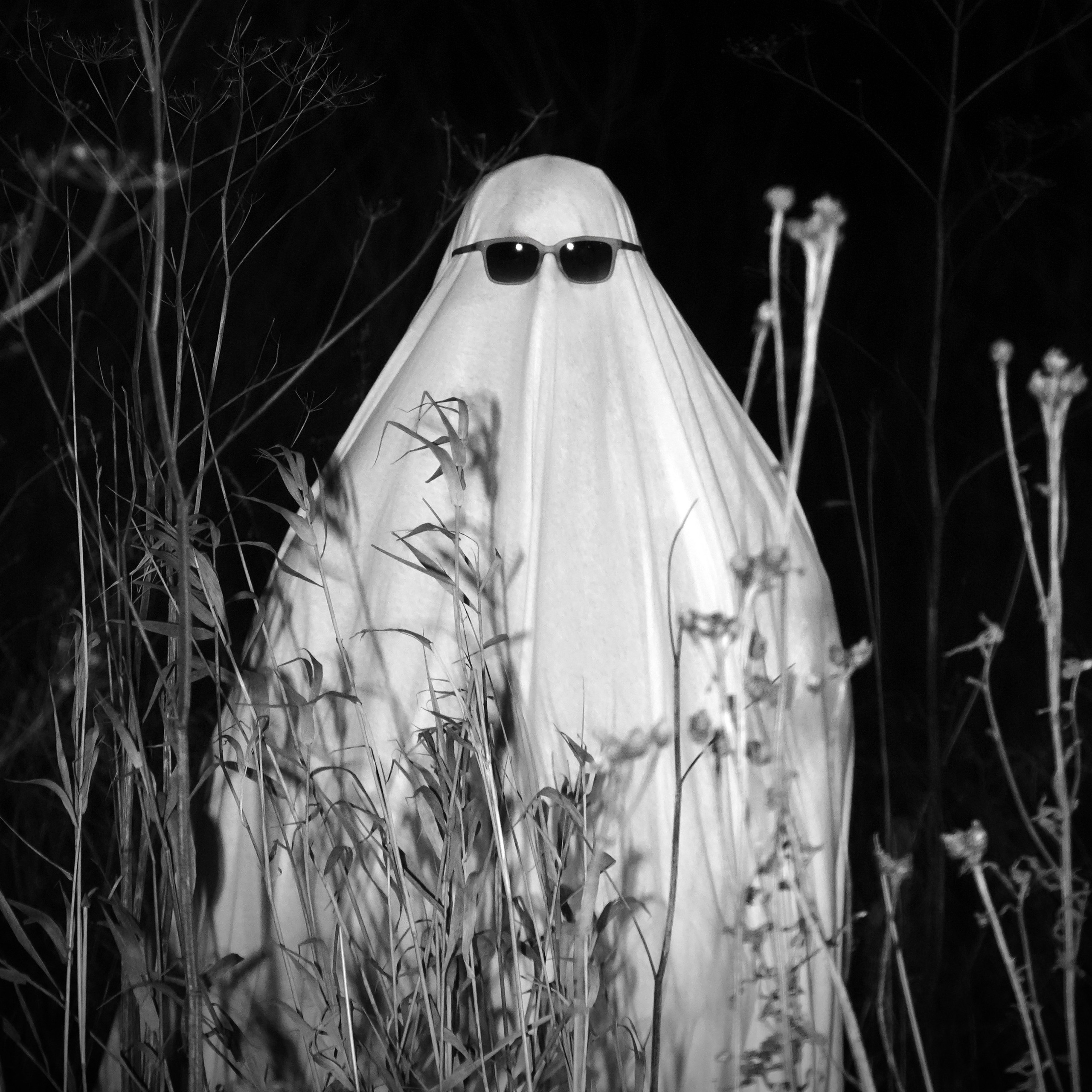 Услуги. Фотограф Никита Зеленков в Санкт-Петербурге