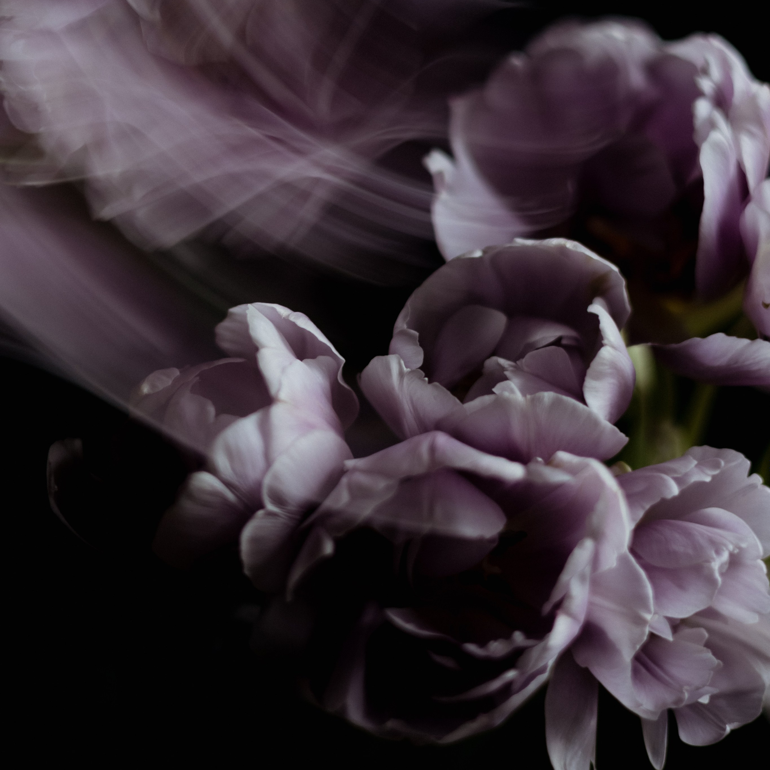 Фотограф в Москве Дарья Гоглева