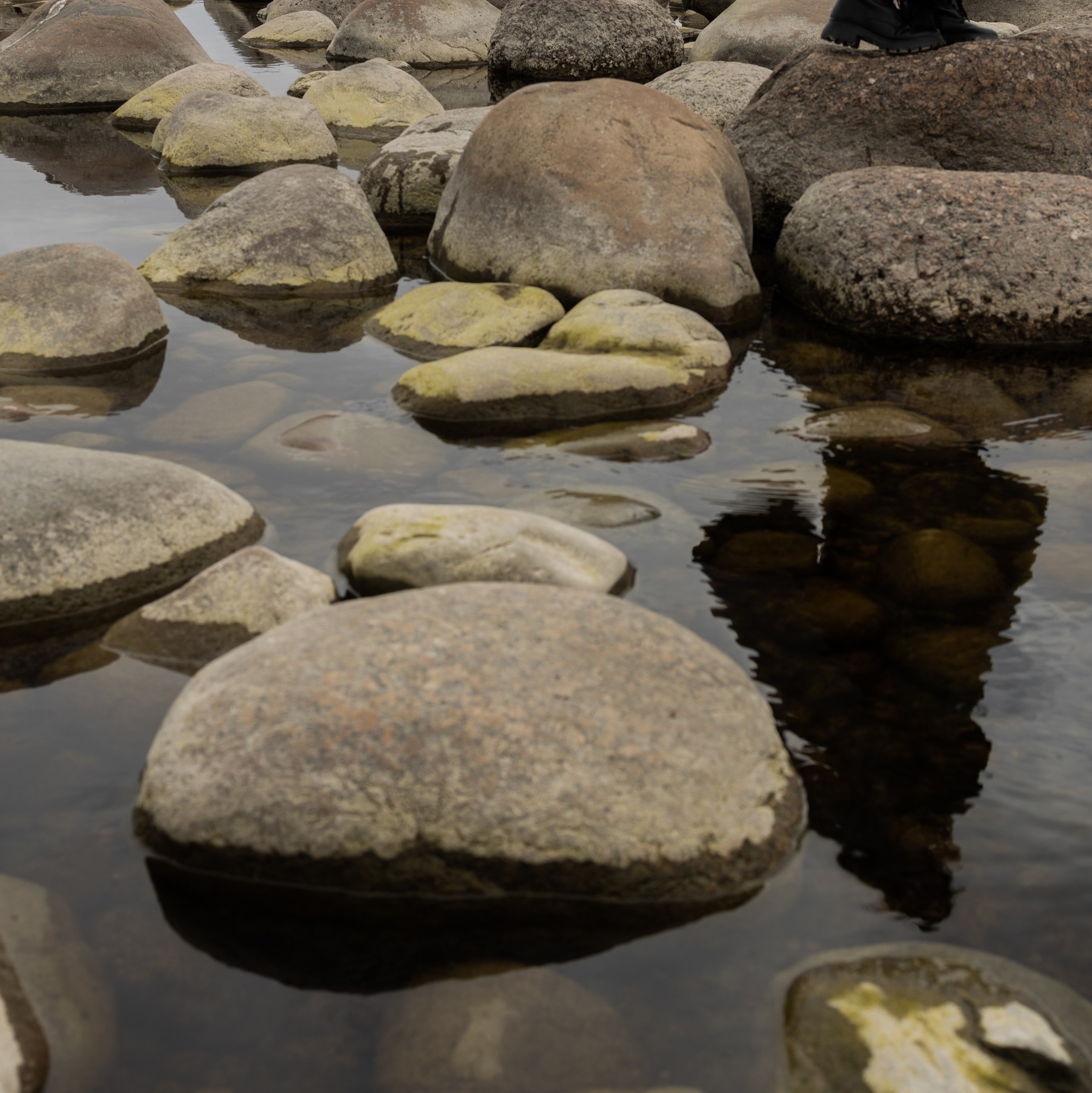 Услуги. Виноградова Маргарита. Фотограф P r o Явления