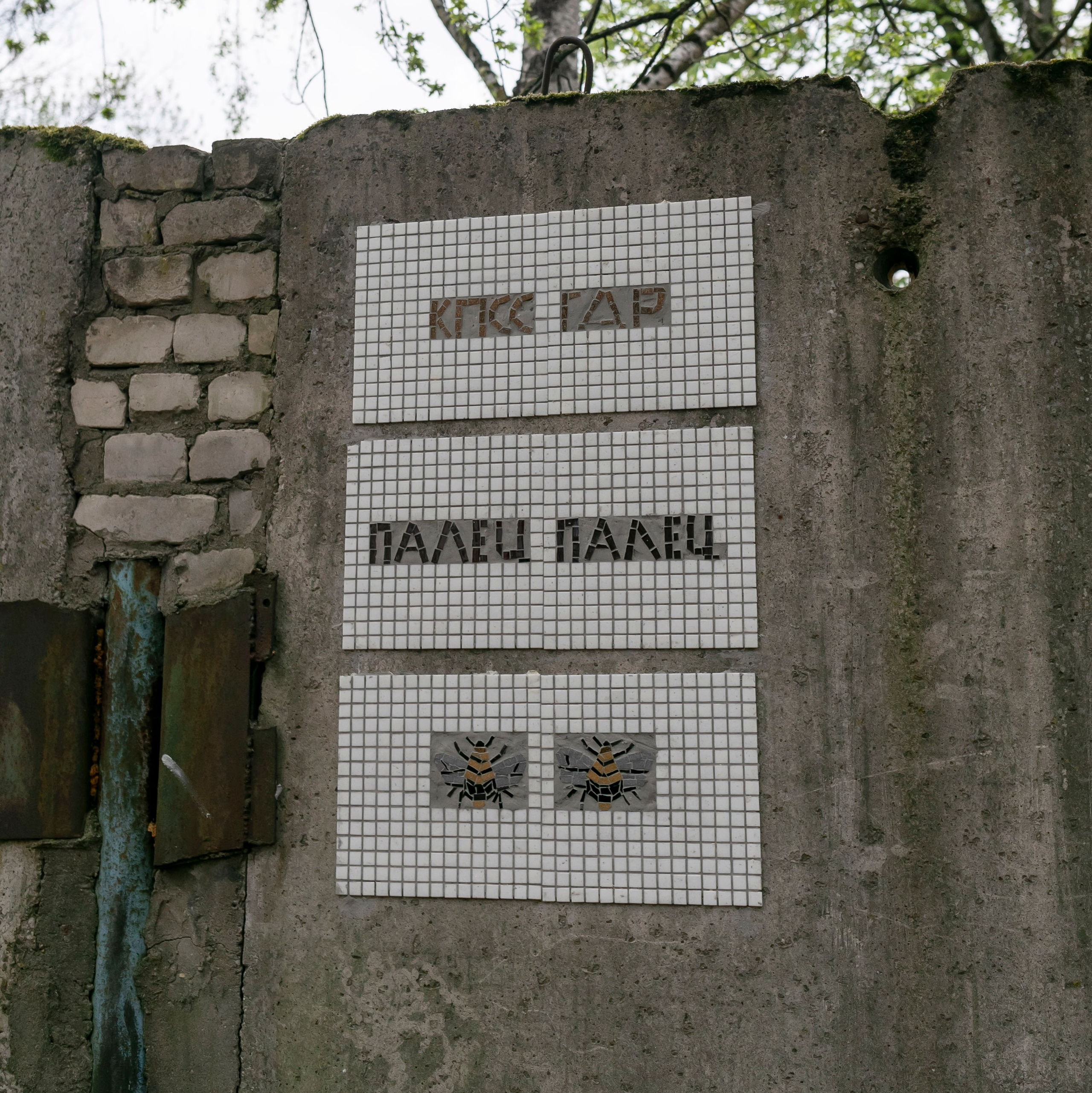 «Опыт касаний. Временно». Выставочный проект «Опыт касаний» (офлайн и онлайн) Калининград