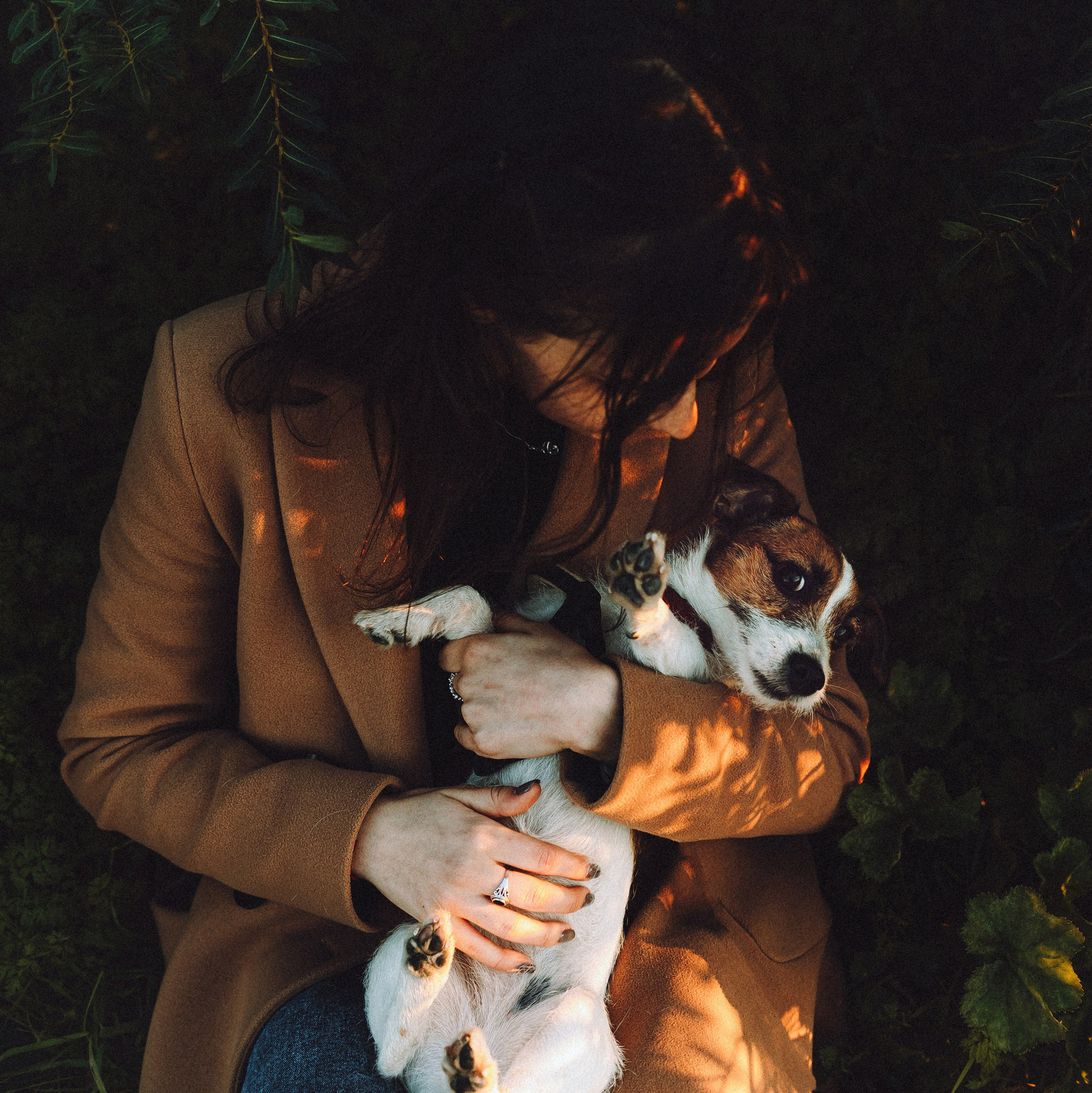 Индивидуальное обучение съемки животных от Екатерины Киреевой