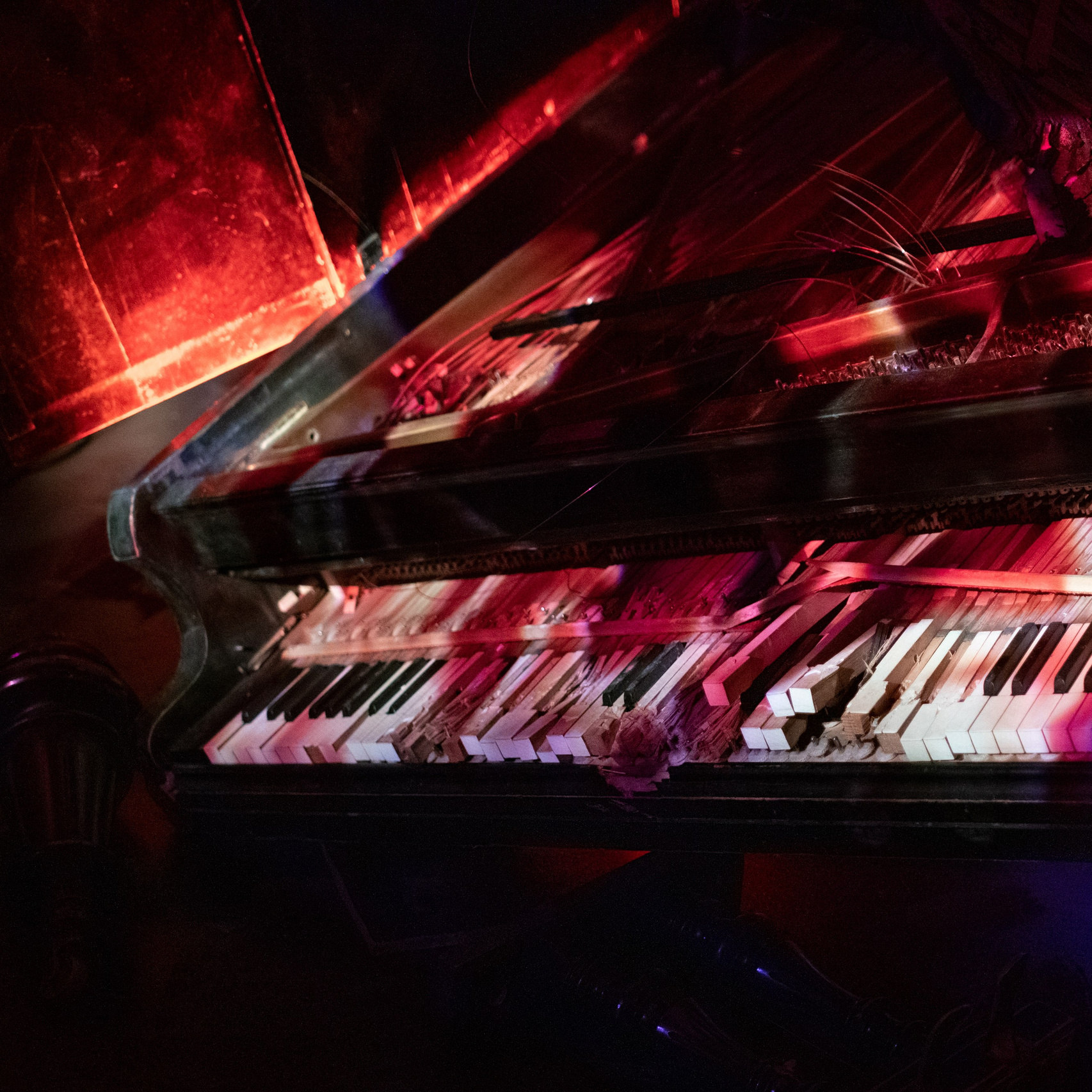 Музей- заповедник «Петергоф». Театр «НИТИ» Санкт-Петербург