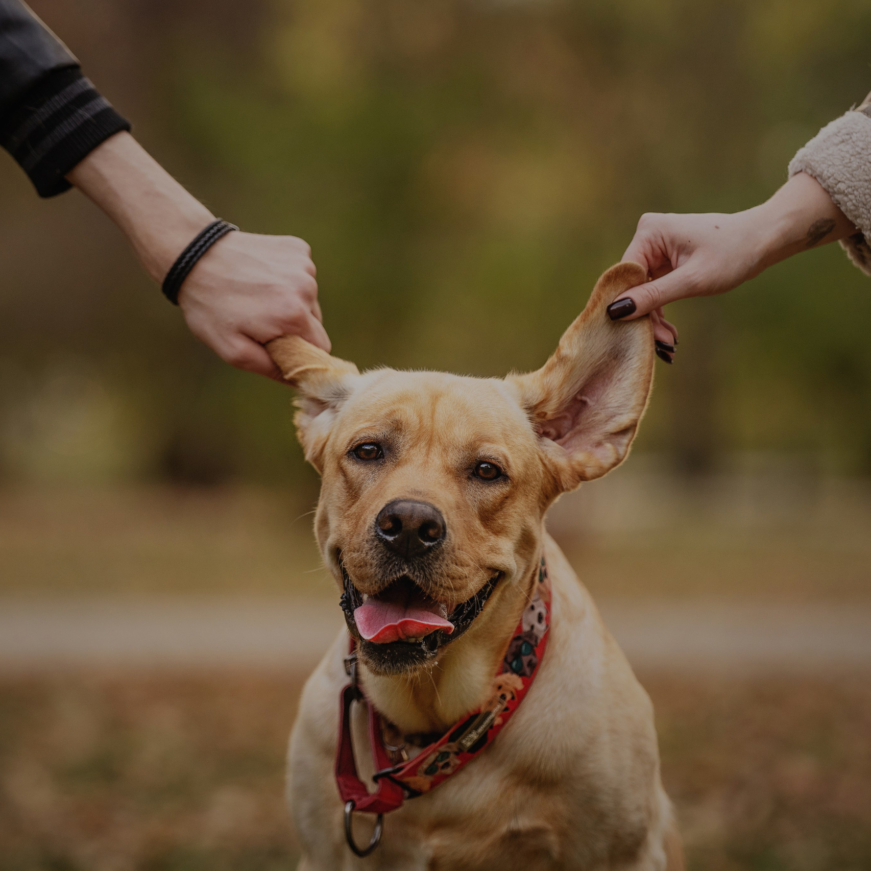 Услуги. Kameramotor74