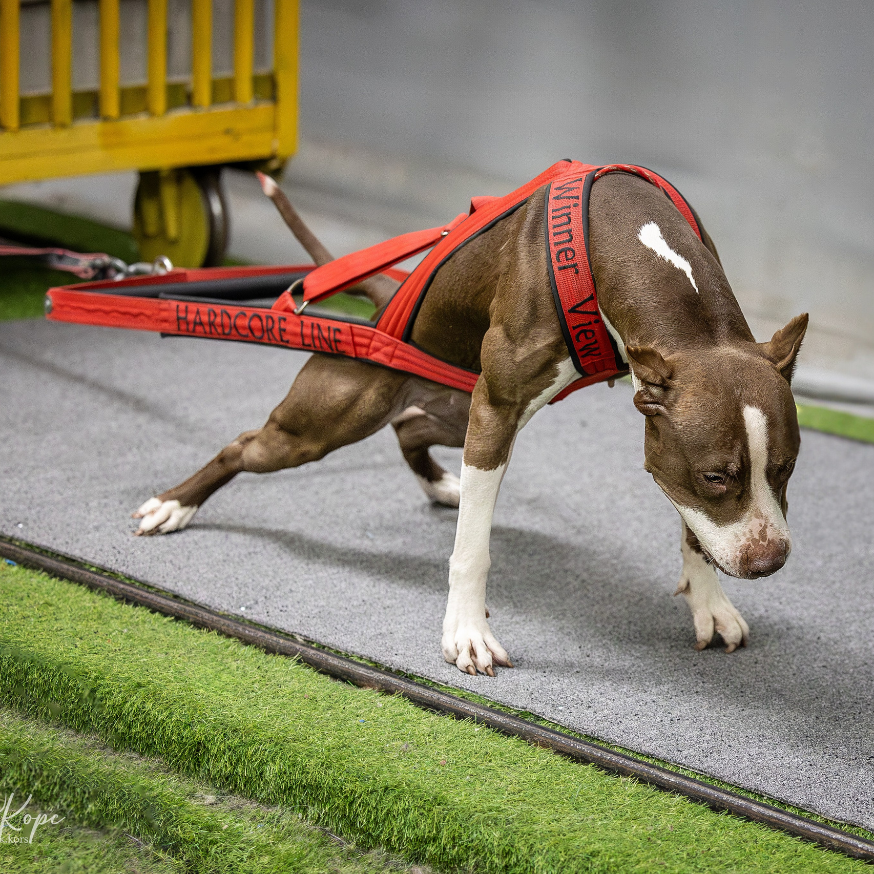 Услуги. Главная