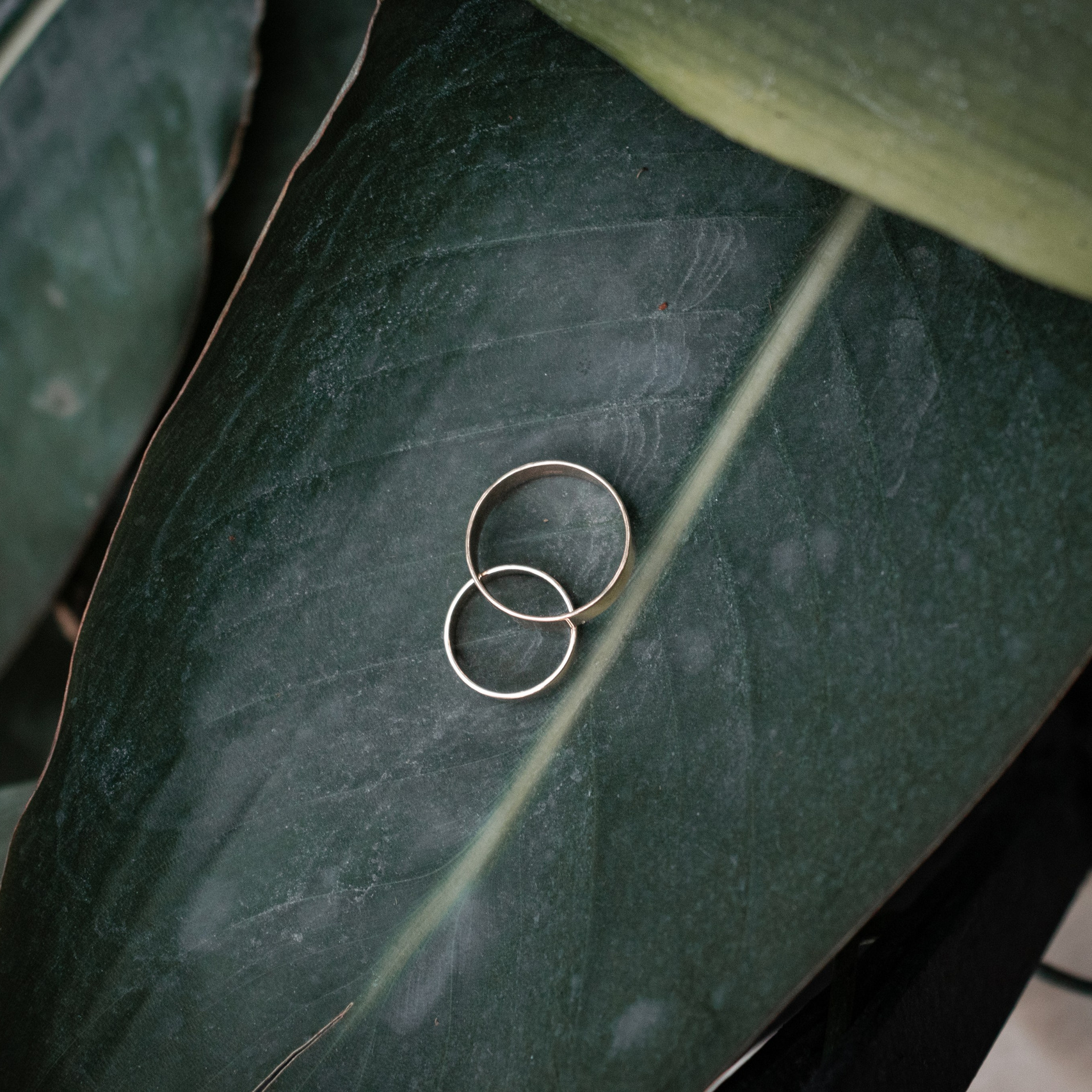 Стоимость услуг фотограф Томск. Фотограф в Томске Дарья Пучкина