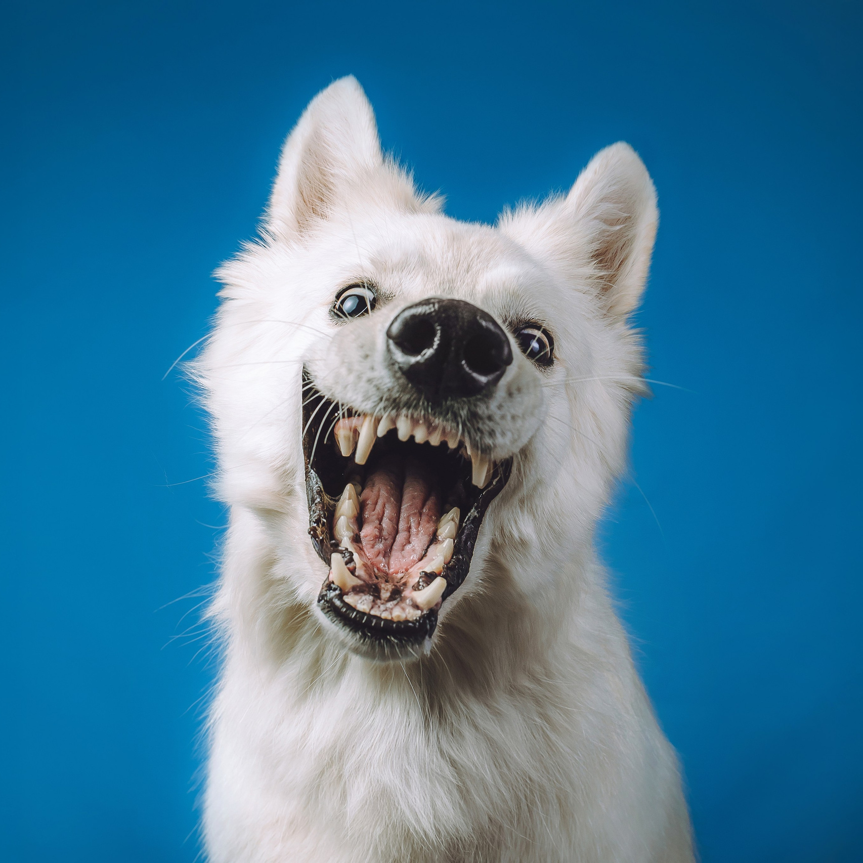 Индивидуальные уроки