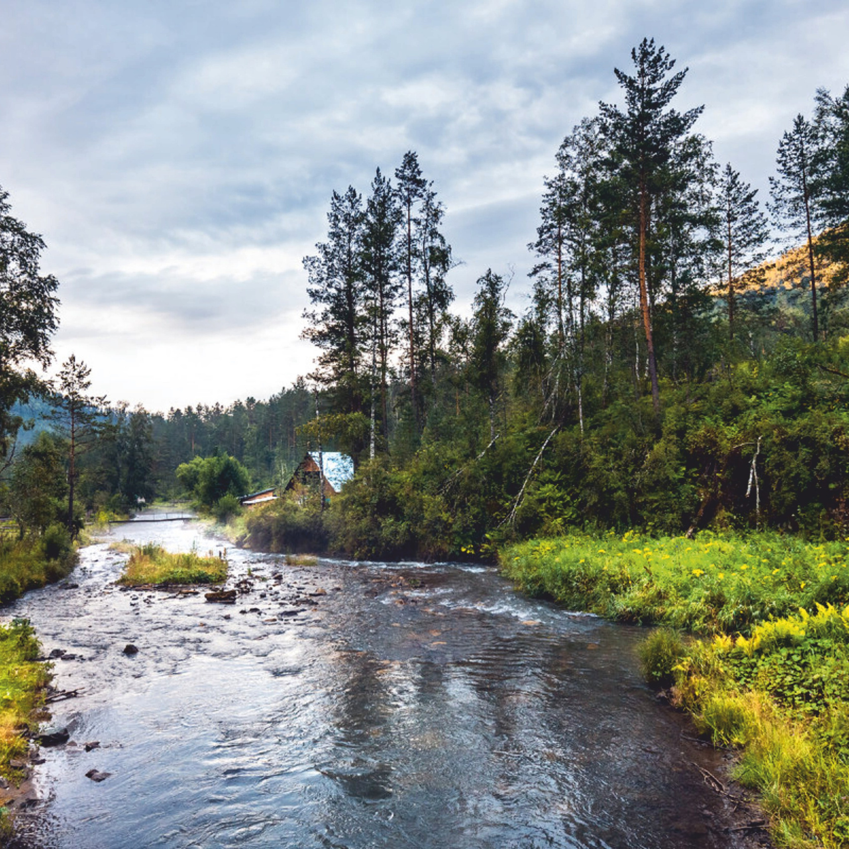 Участки по р.Кутучум (р-н Куюма). Банк земельных участков Алтая