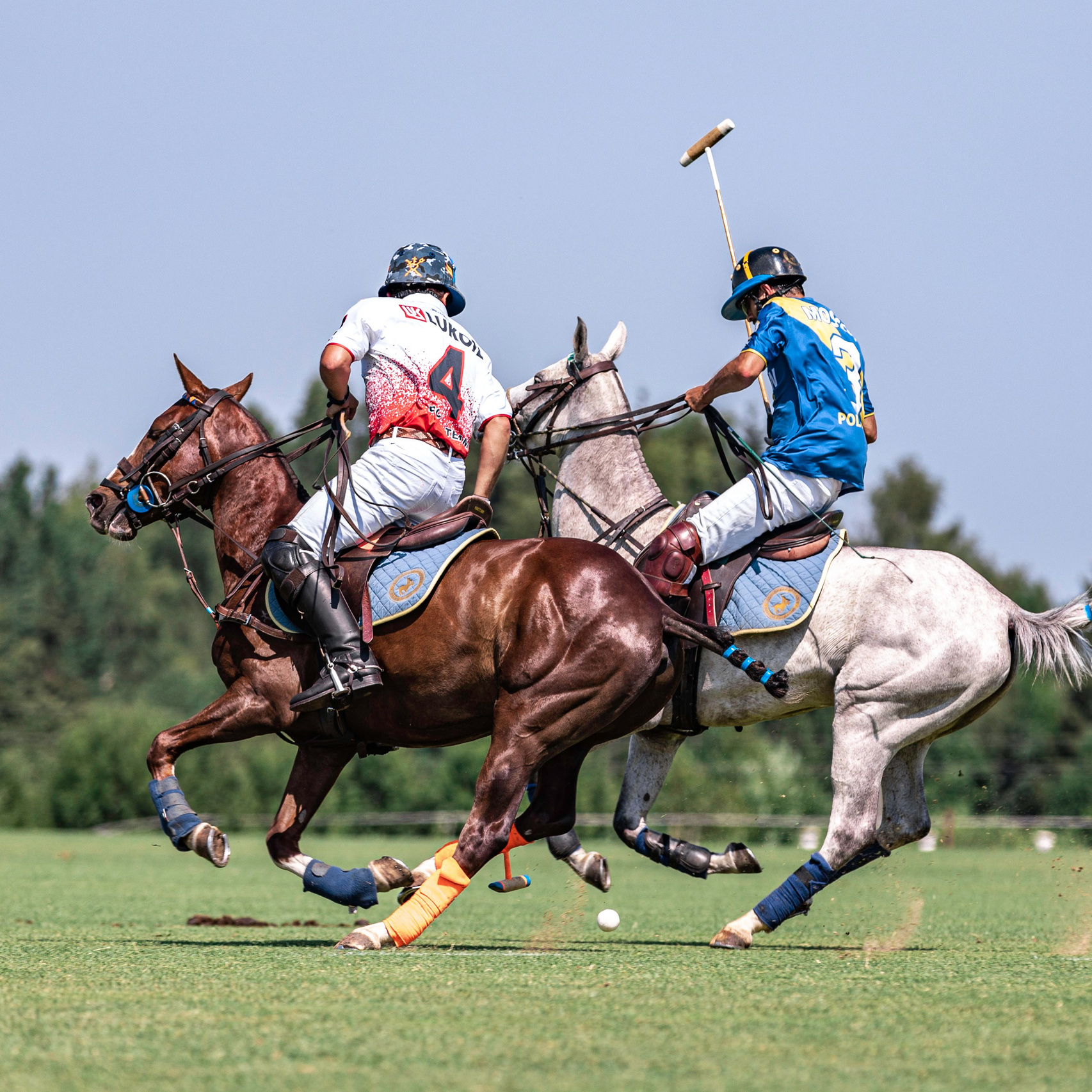 Стоимость фотосессий. Mrs.Aquarelia Конный фотограф Марианна Леонтьева