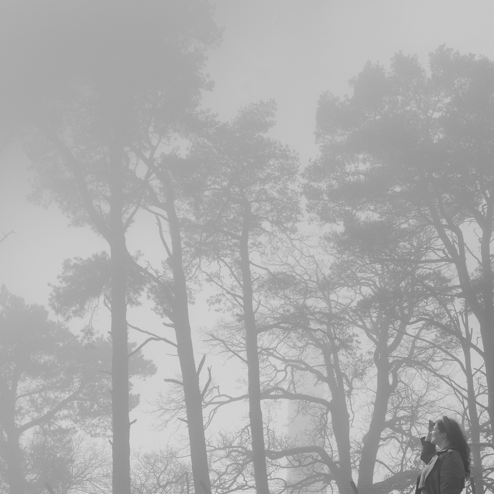 Услуги. Виноградова Маргарита. Фотограф P r o Явления