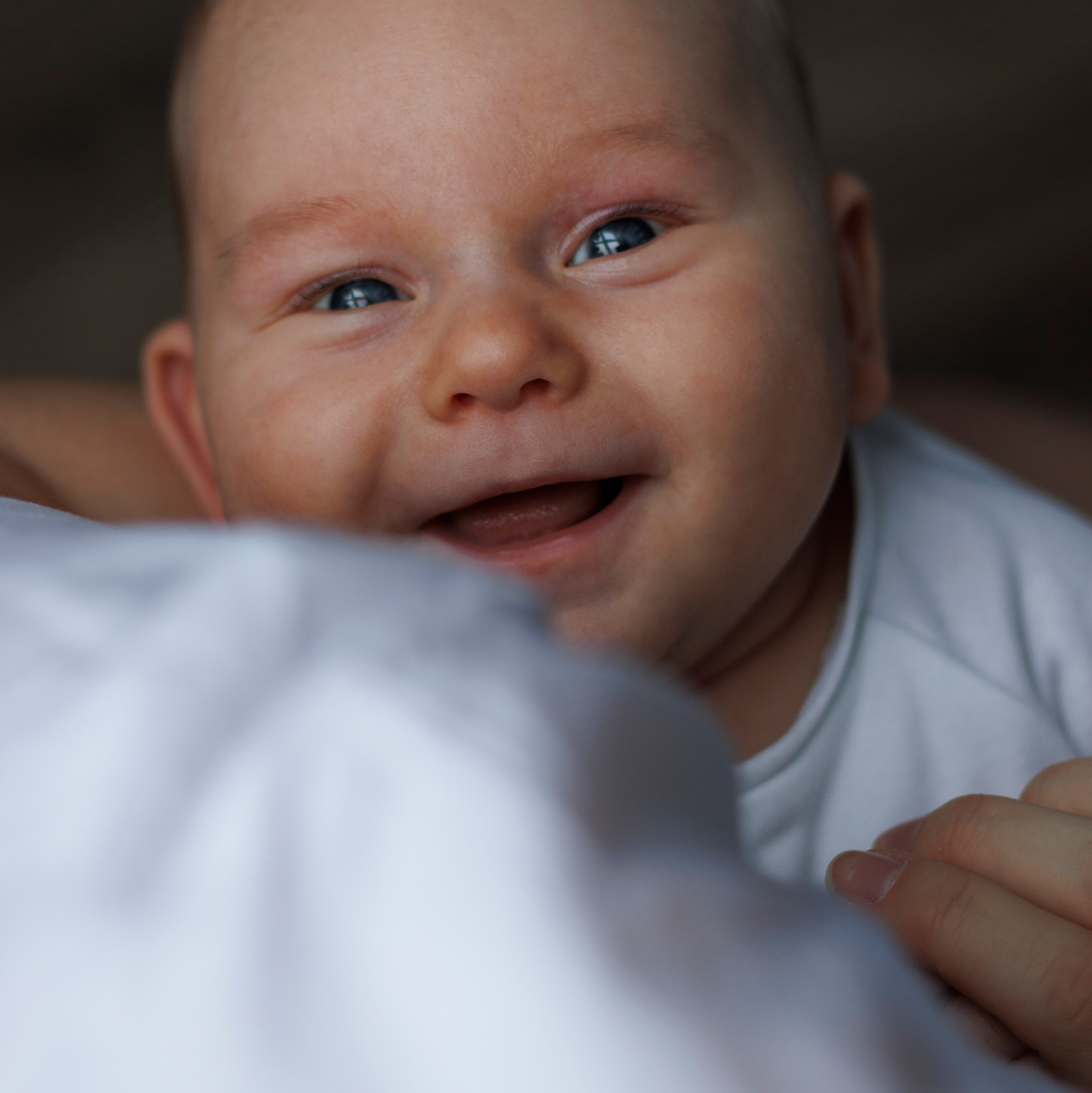 Услуги. Семейный и детский фотограф в Туле