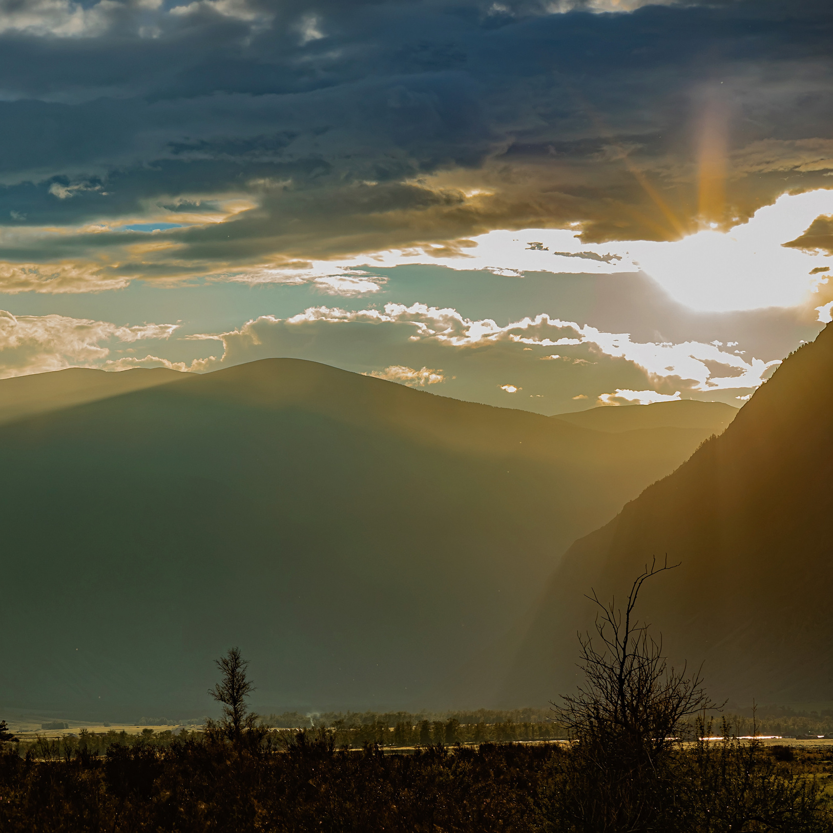 Фотограф в Москве и Санкт-Петербурге Елена Потапова