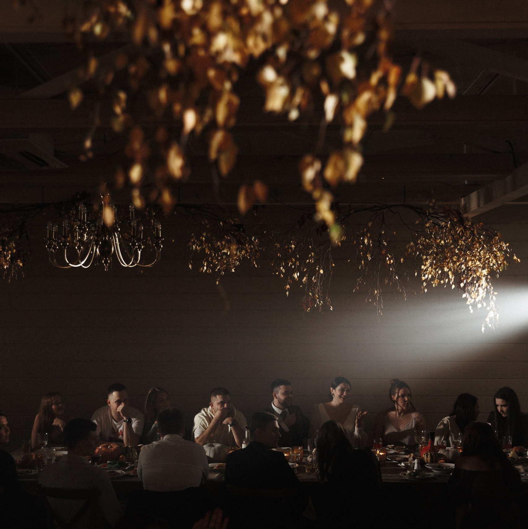 Стоимость. Свадебный фотограф Алина Ампер