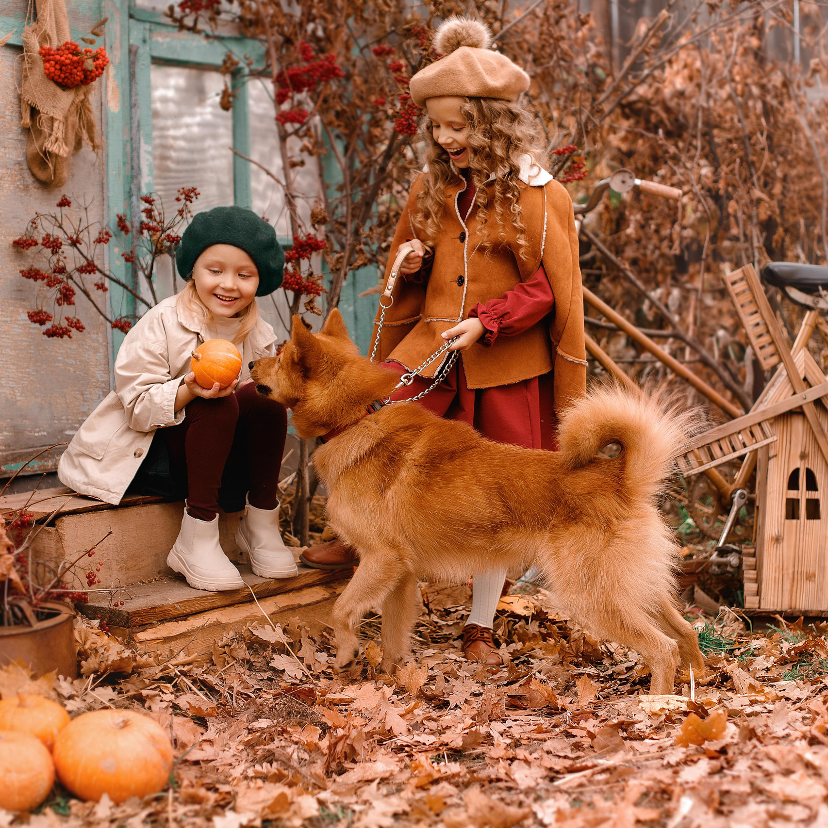 Стоимость. Фотограф Елена Аленская