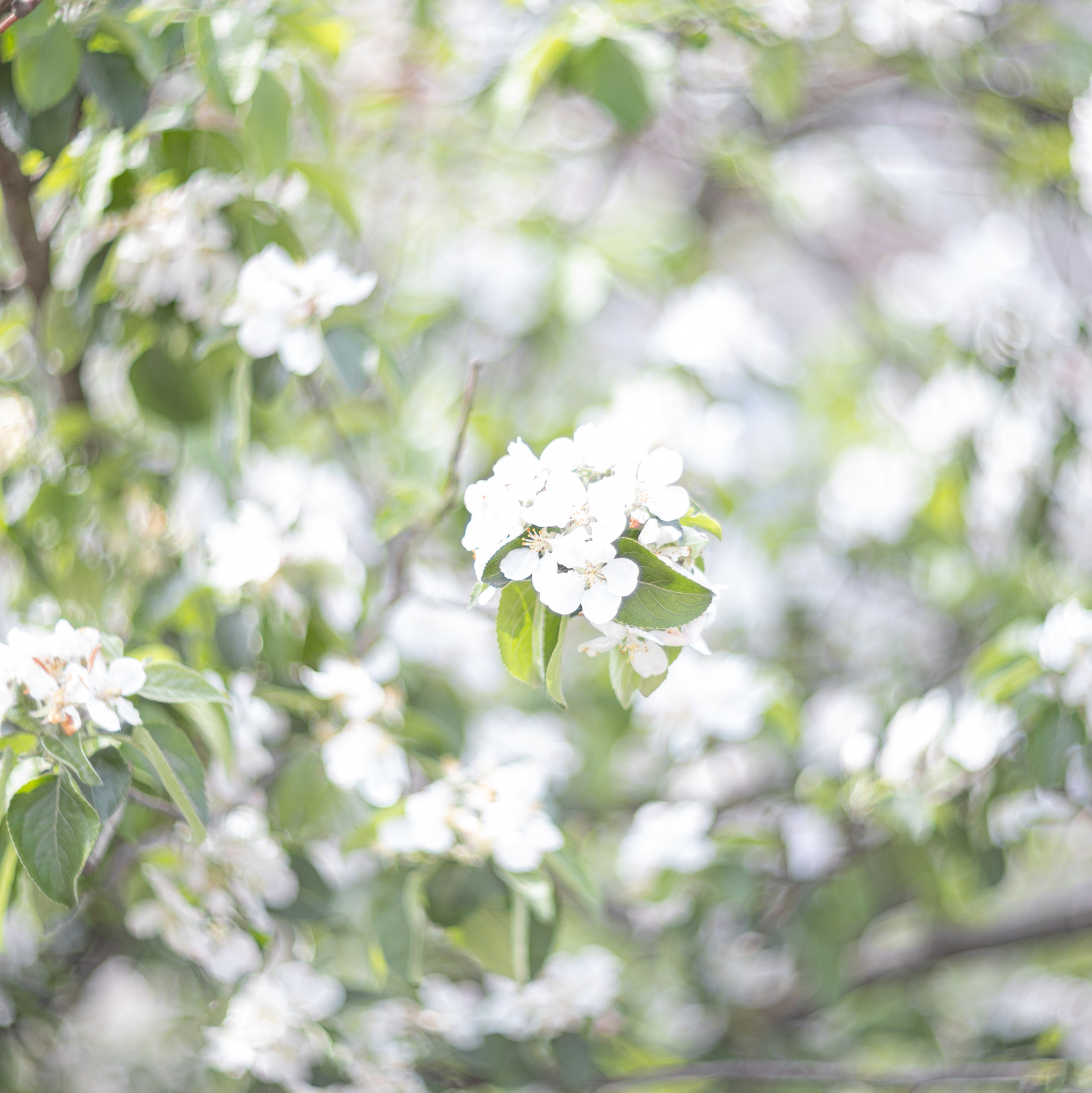 Контакты. Фотограф Ольга Гирусова «Пантерочка» Москва