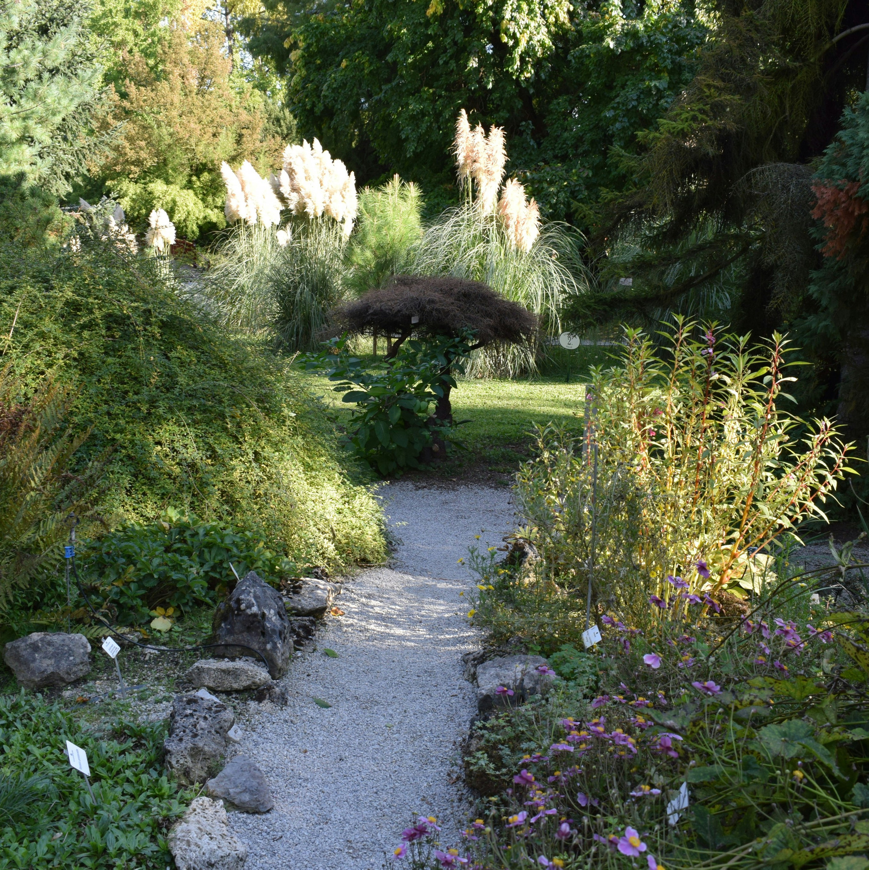 Ландшафтный дизайн. Главная