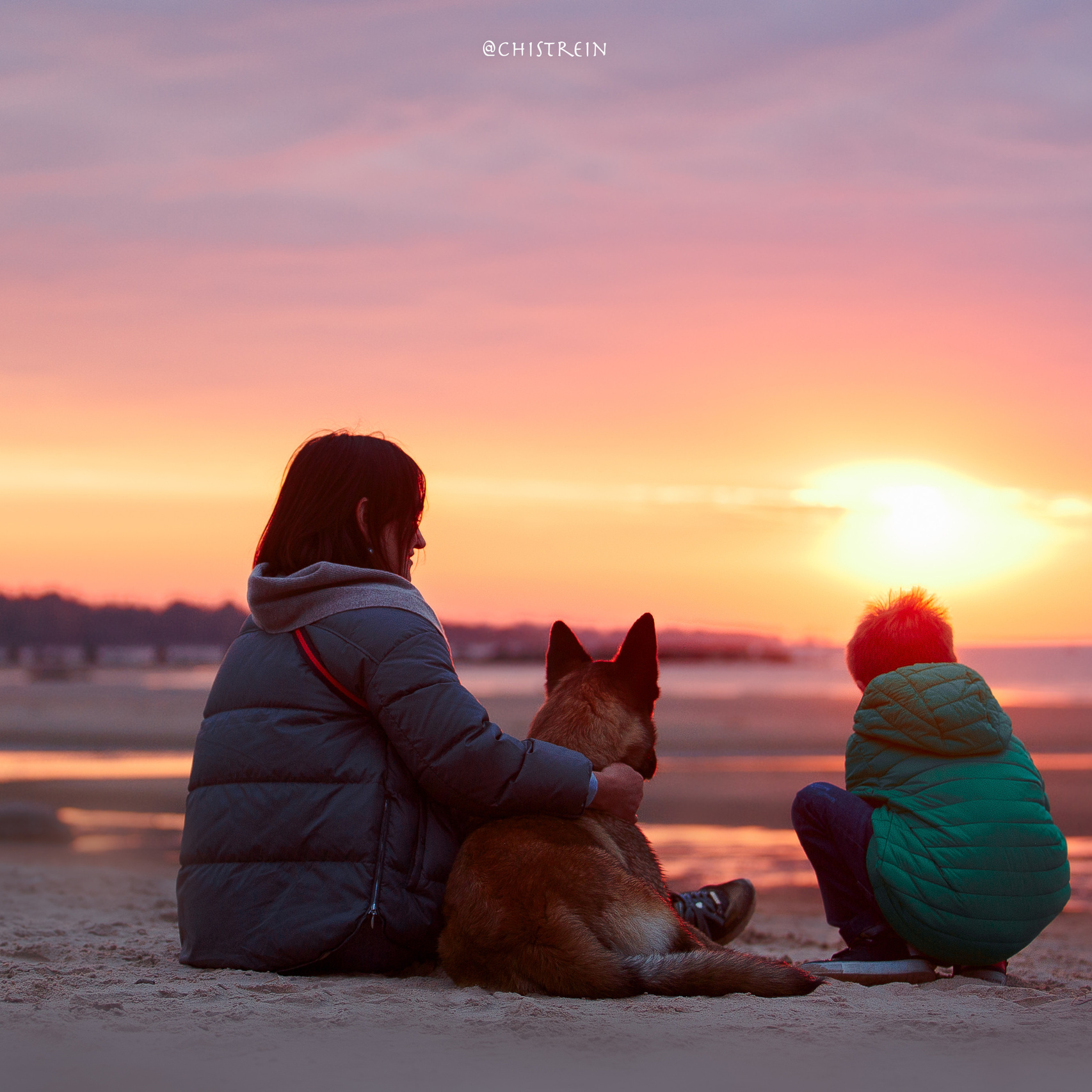 Услуги. Фотограф-анималист Наталия Чистюхина в г. Сосновый Бор и ЛО