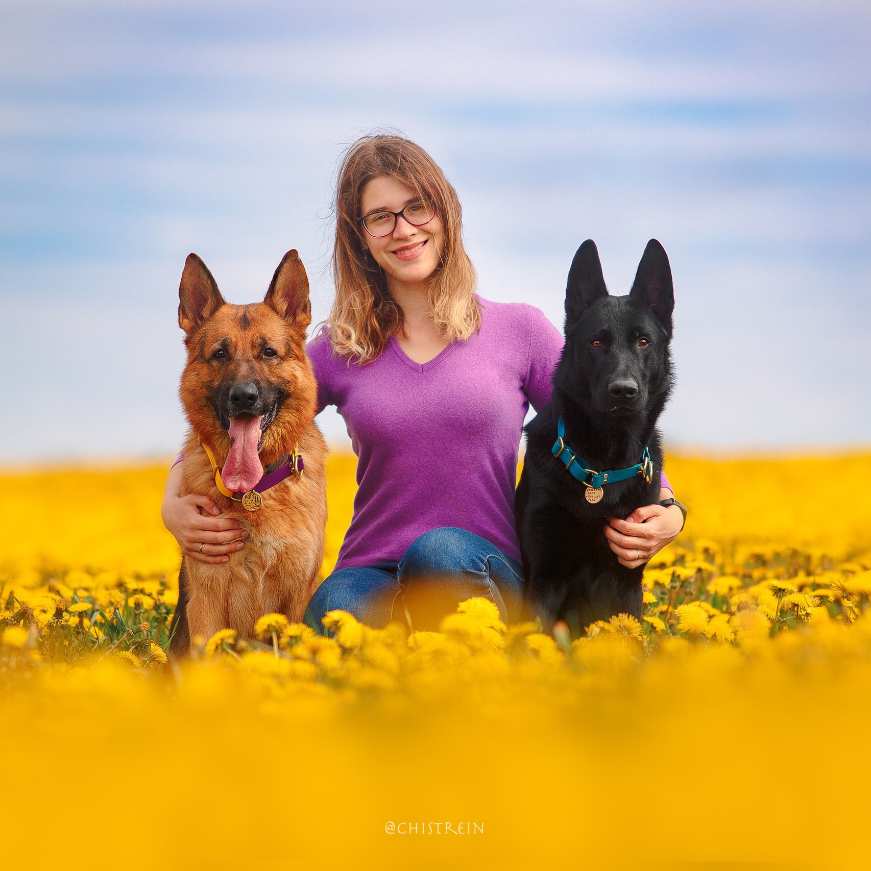 Контакты. Фотограф-анималист Наталия Чистюхина в г. Сосновый Бор и ЛО