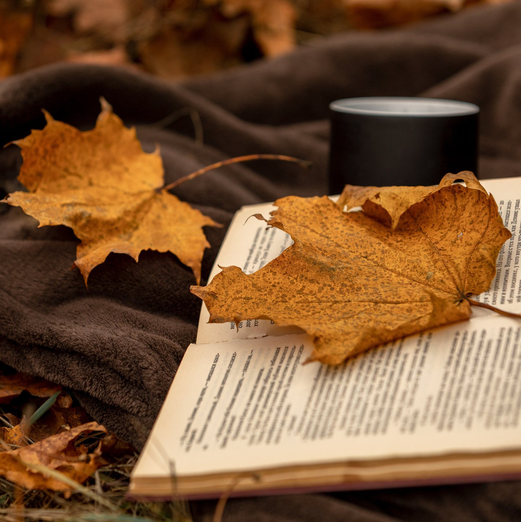 Контакты. Главная