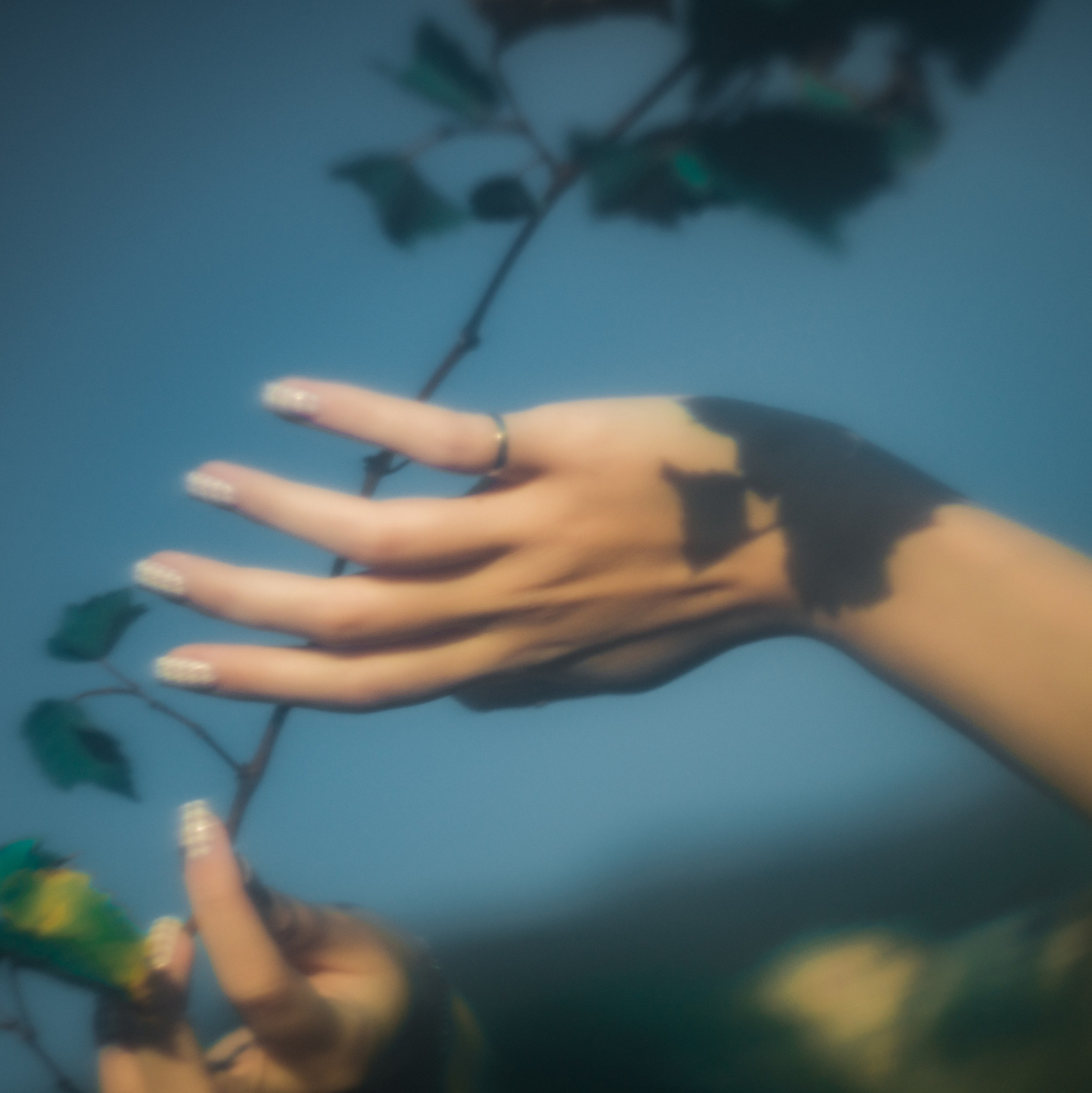 VISUAL ARTIST · KRONGAUZ ANASTASIA