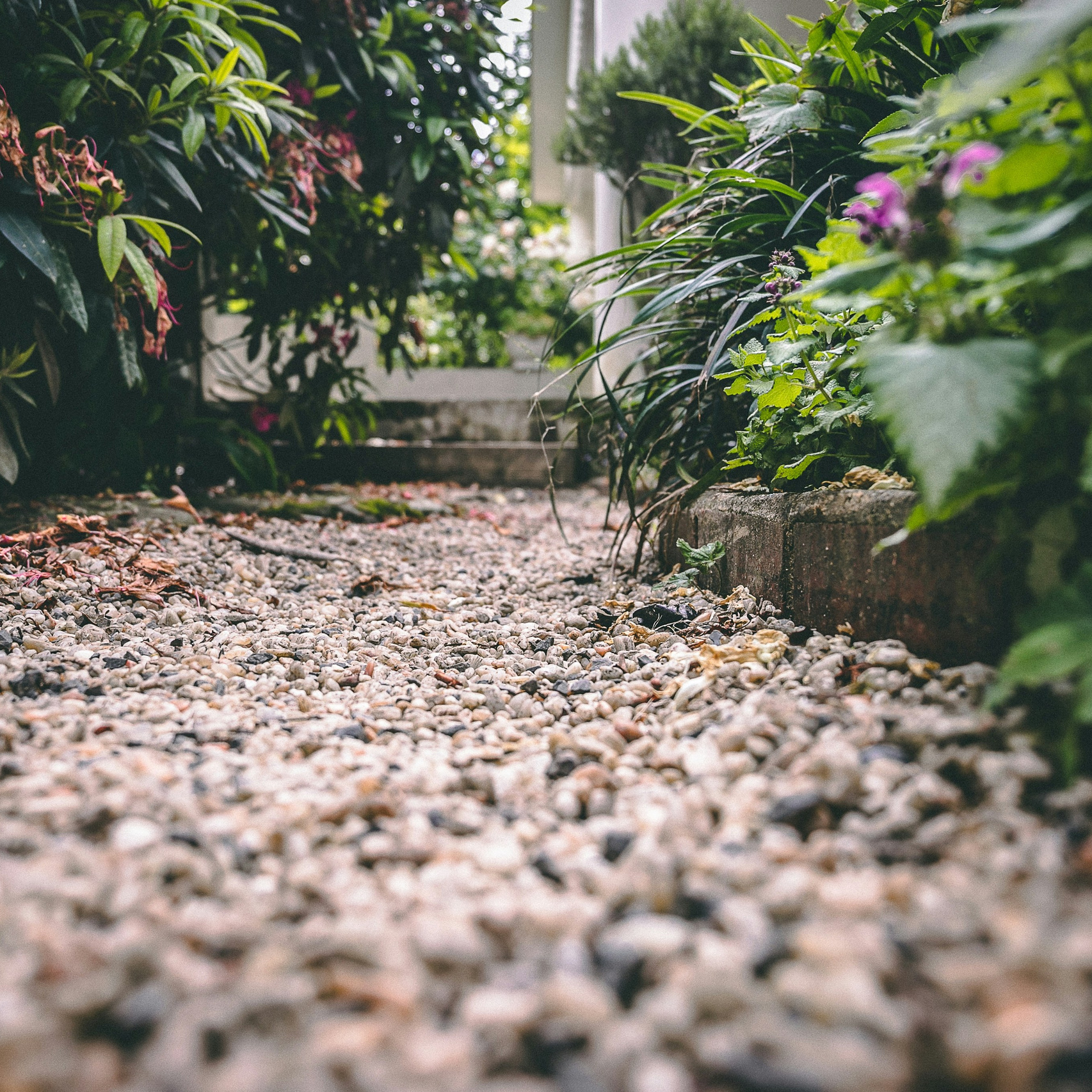 Ландшафтный дизайн. Главная