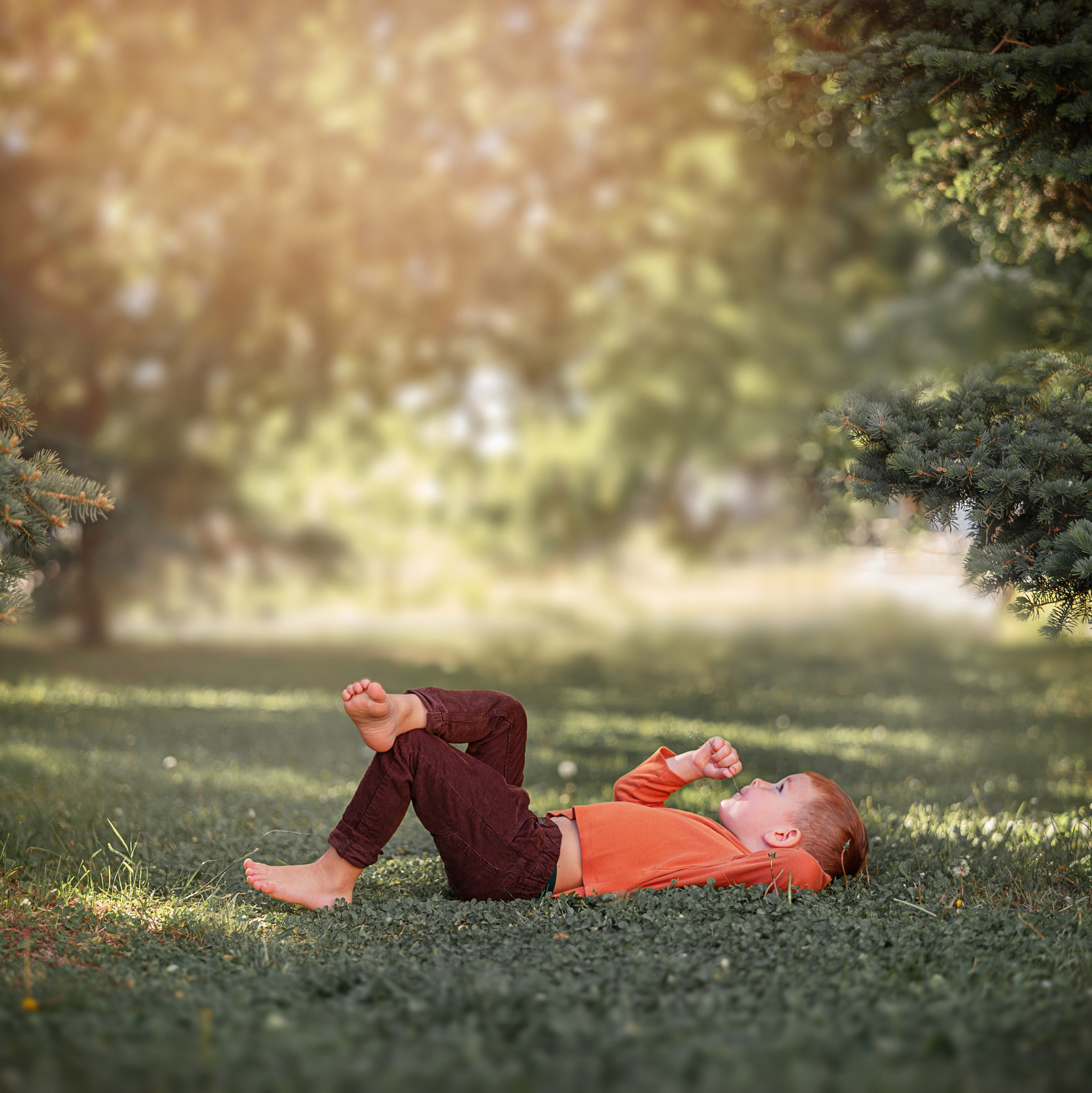 Услуги и цены. Семейный и детский фотограф Саратов Энгельс Сибукова Ирина