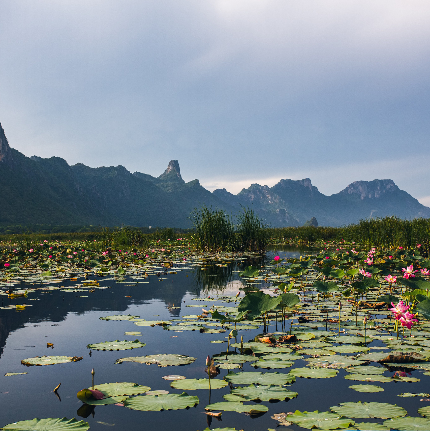 Фототур в Хуахин (Тайланд). Семейный и художественный фотограф в Тюмени Юлия Логинова