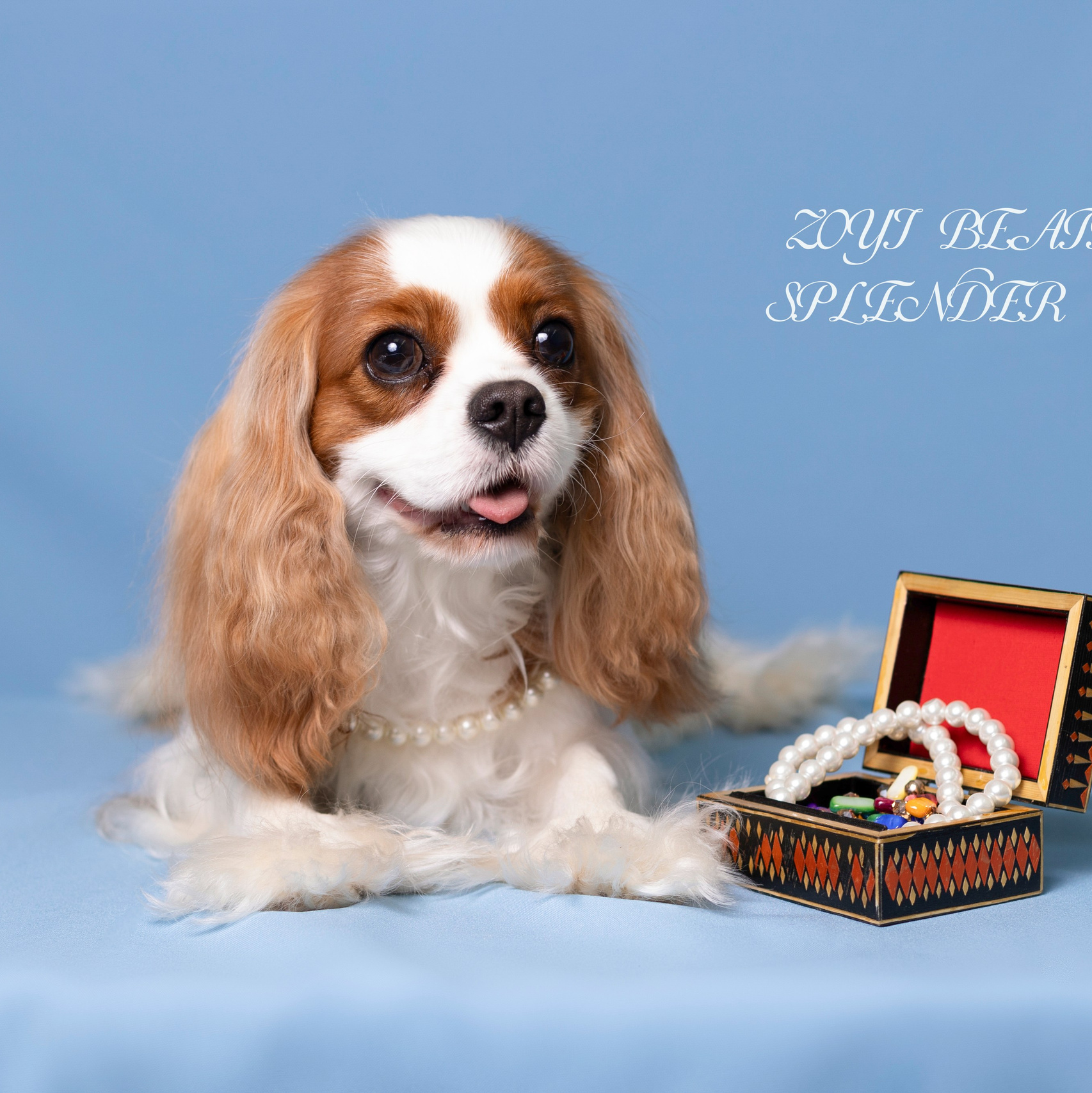 Фотограф 📸 семейный, предметный, репортажный