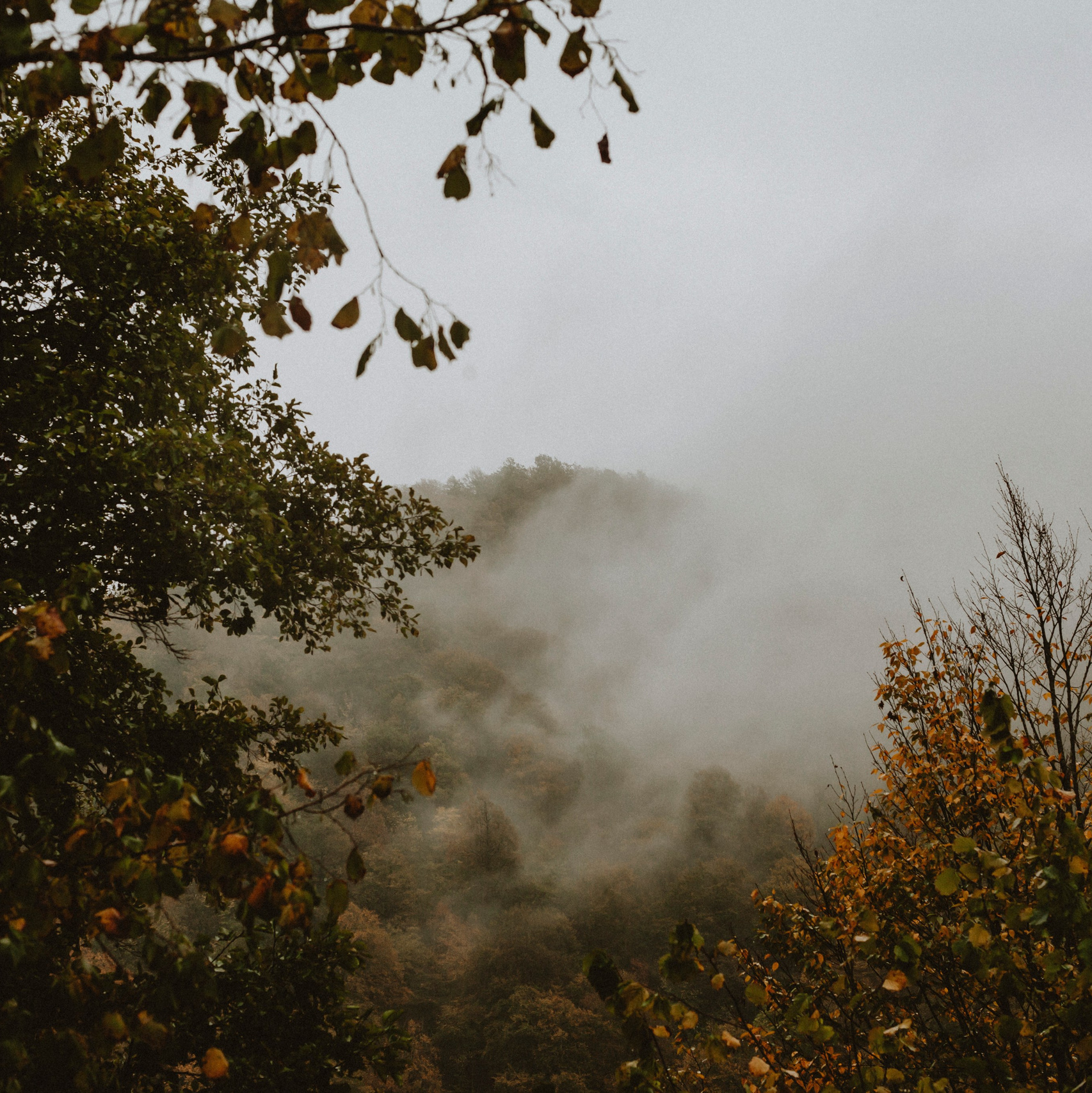 SCHOOL ALBUM. Фотограф и видеограф в Санкт-Петербурге Прилепин Слава