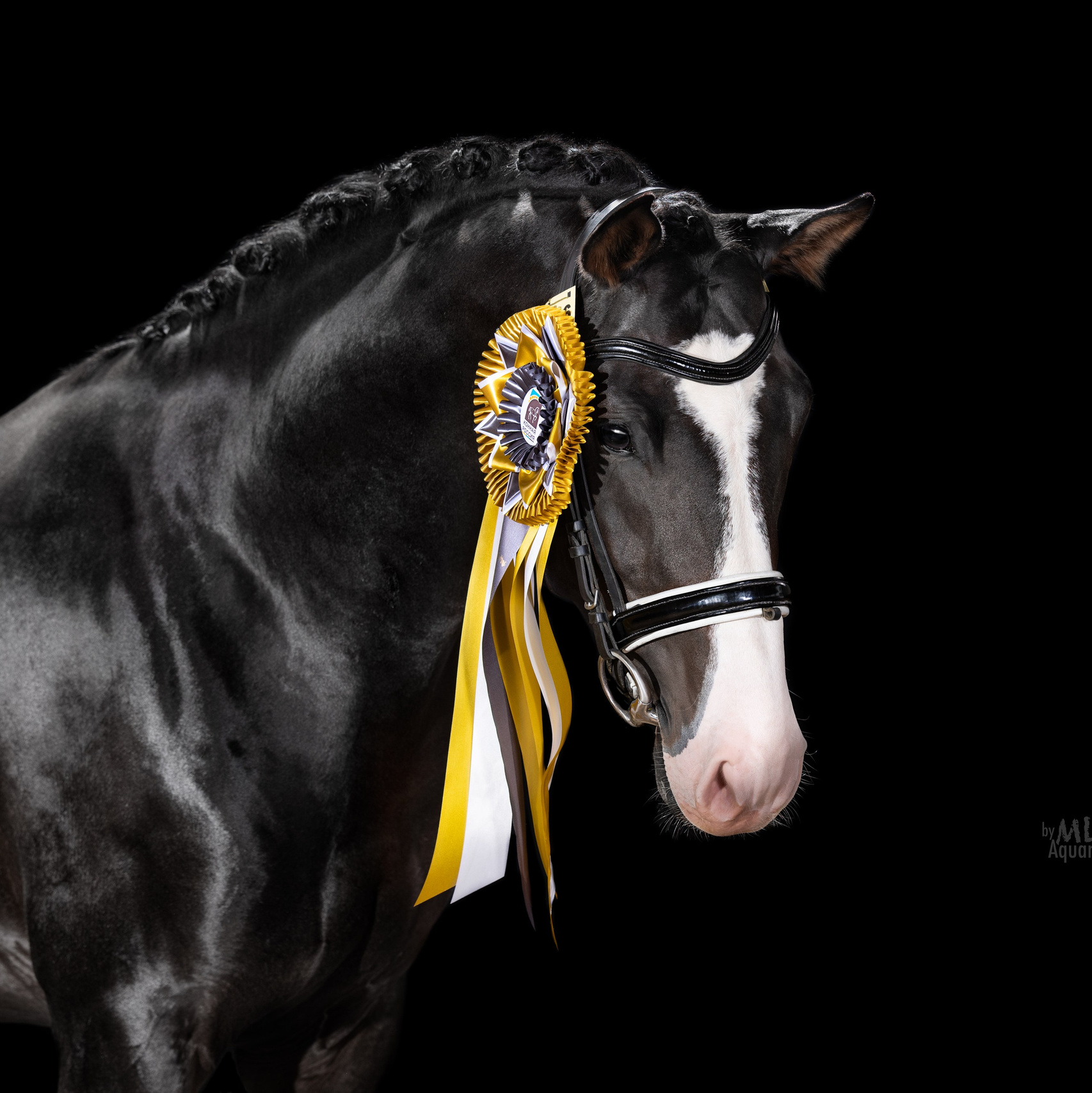 Стоимость фотосессий. Mrs.Aquarelia Конный фотограф Марианна Леонтьева