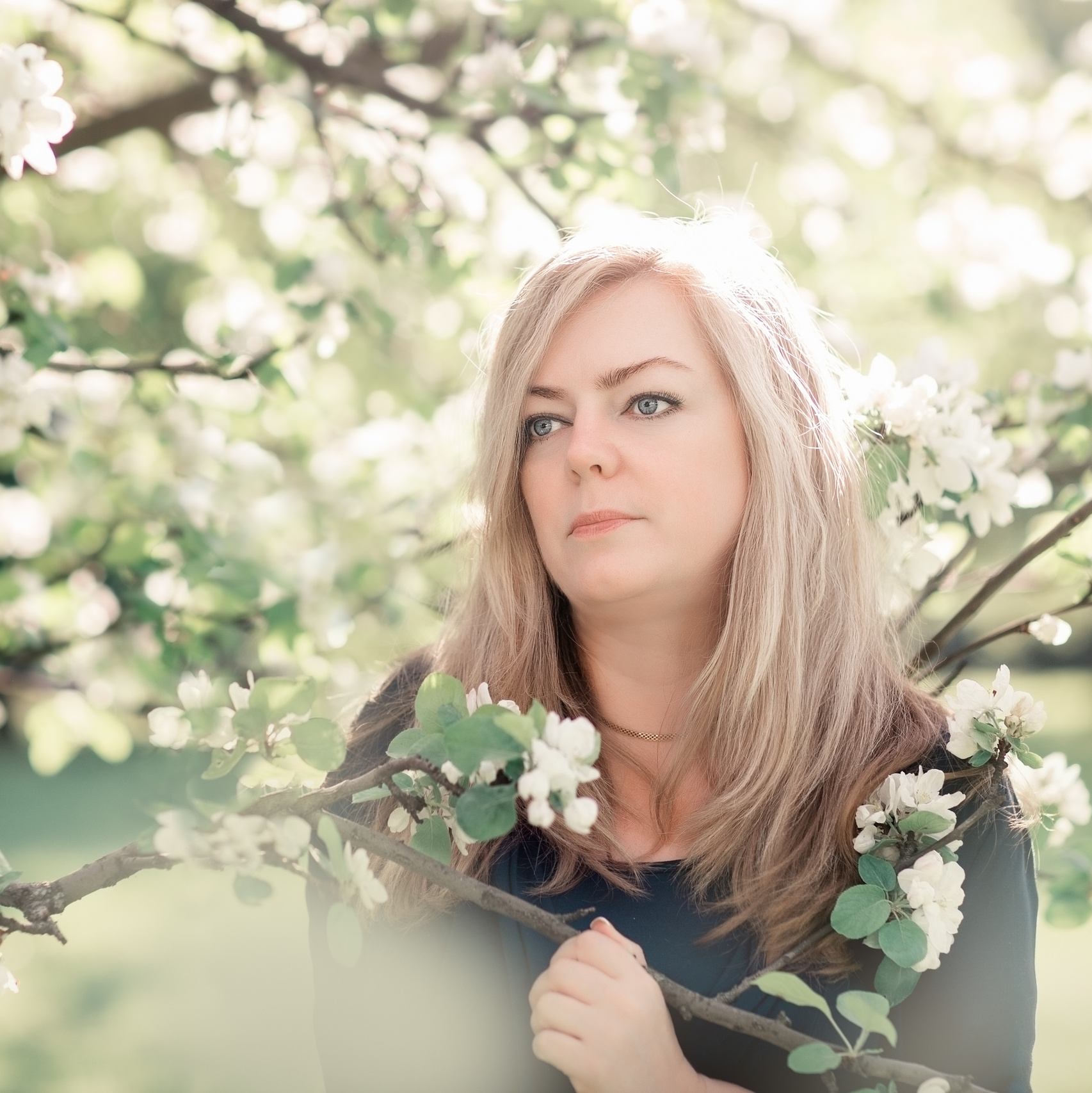 Заводчики. Питомник тайских кошек в Санкт-Петербурге Noyland