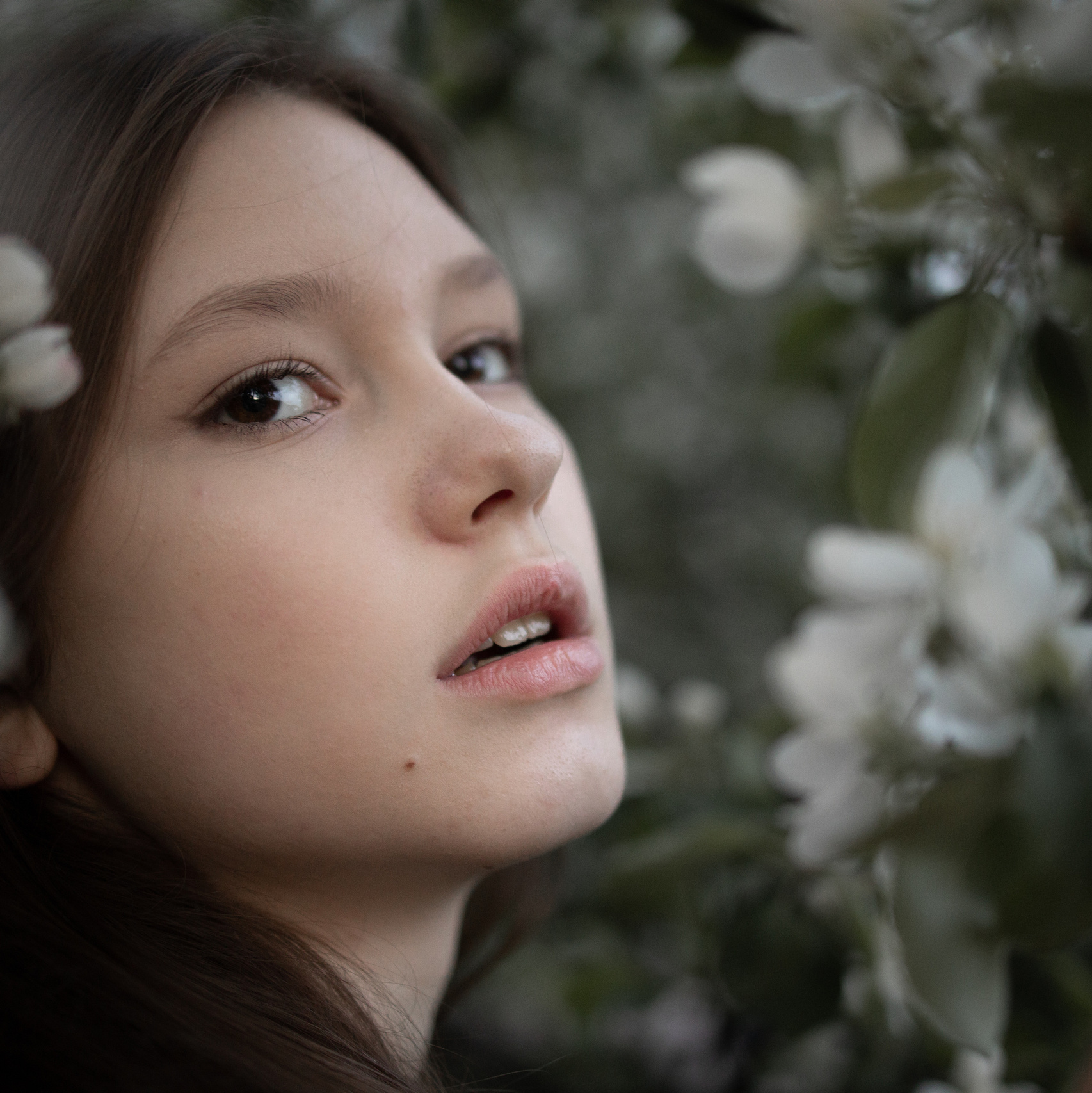 Цены. Портретный и семейный фотограф из Москвы Светлана Голубцова