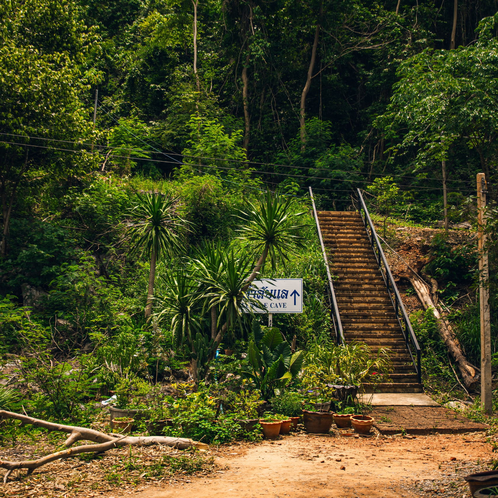 Фототур в Хуахин (Тайланд). Семейный и художественный фотограф в Тюмени Юлия Логинова