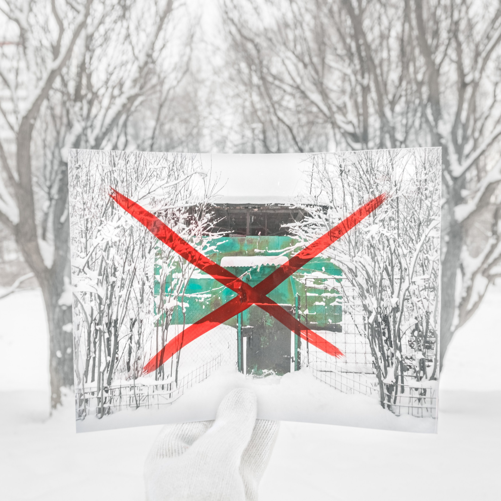 Artist's statement. Фотограф в Москве Татьяна Макотра