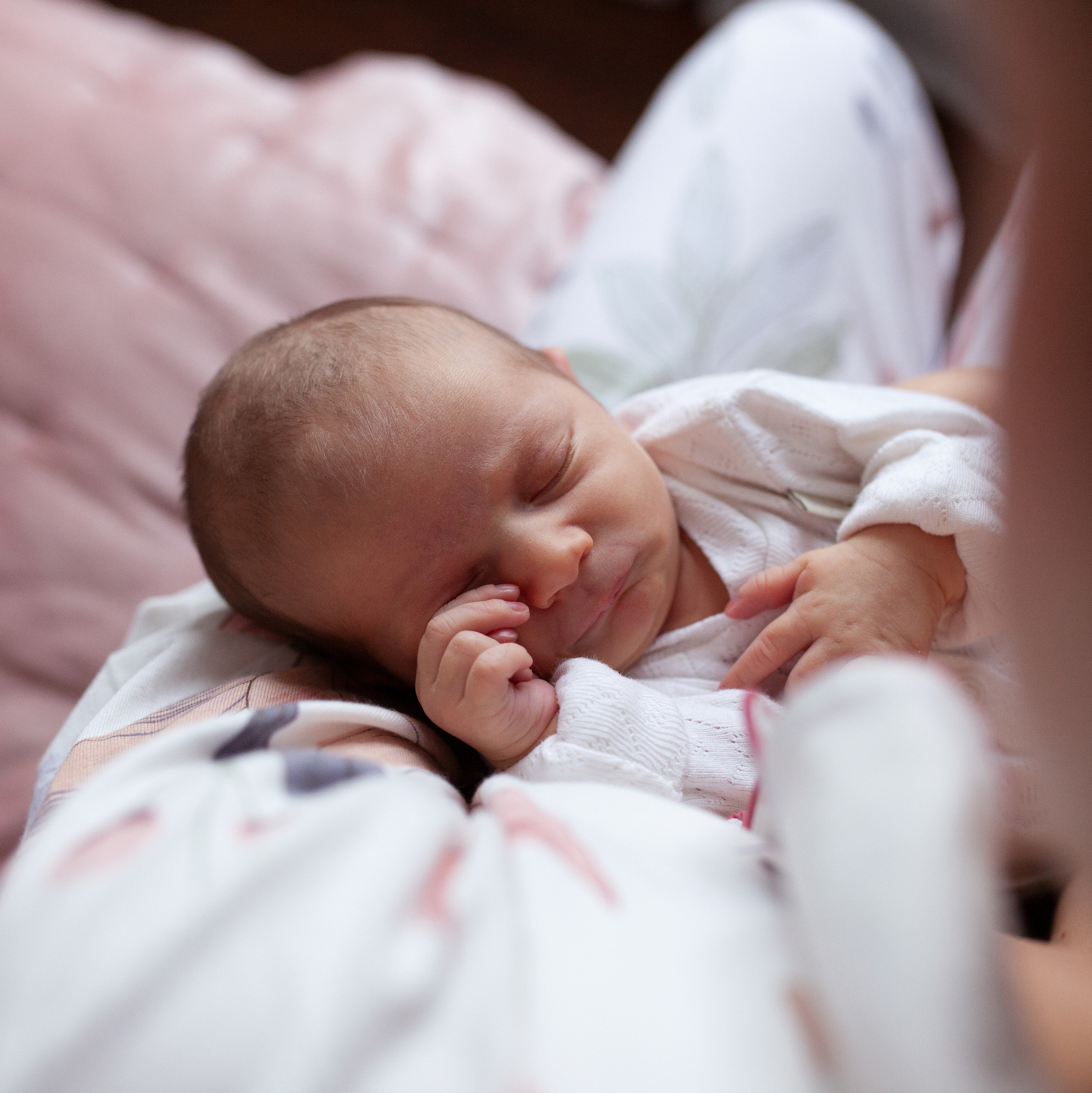 Услуги. Семейный и детский фотограф Беспалова Анна