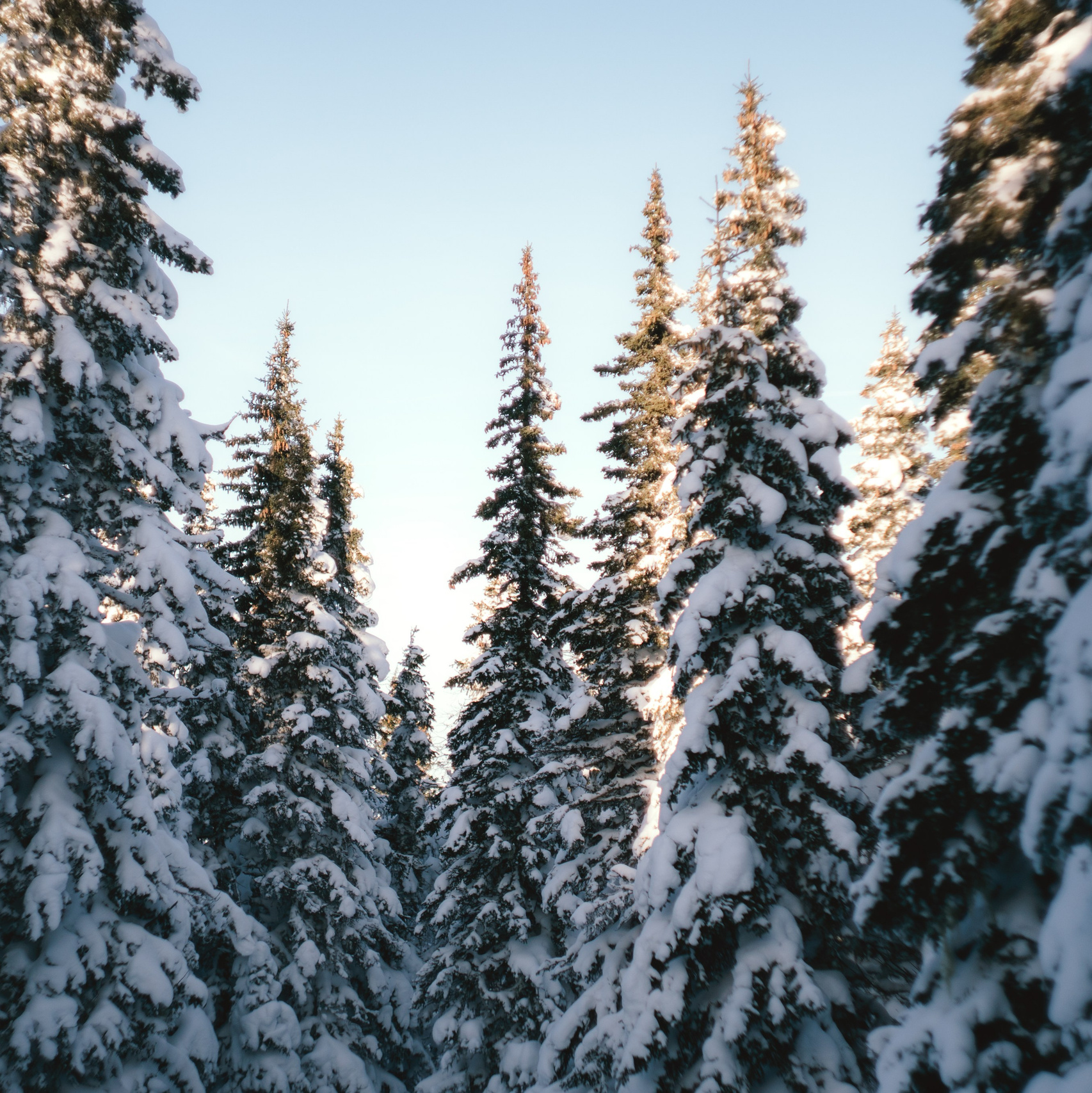 Блог про Южный Урал | Тюлюк. NECULTURED PHOTOGRAPHER