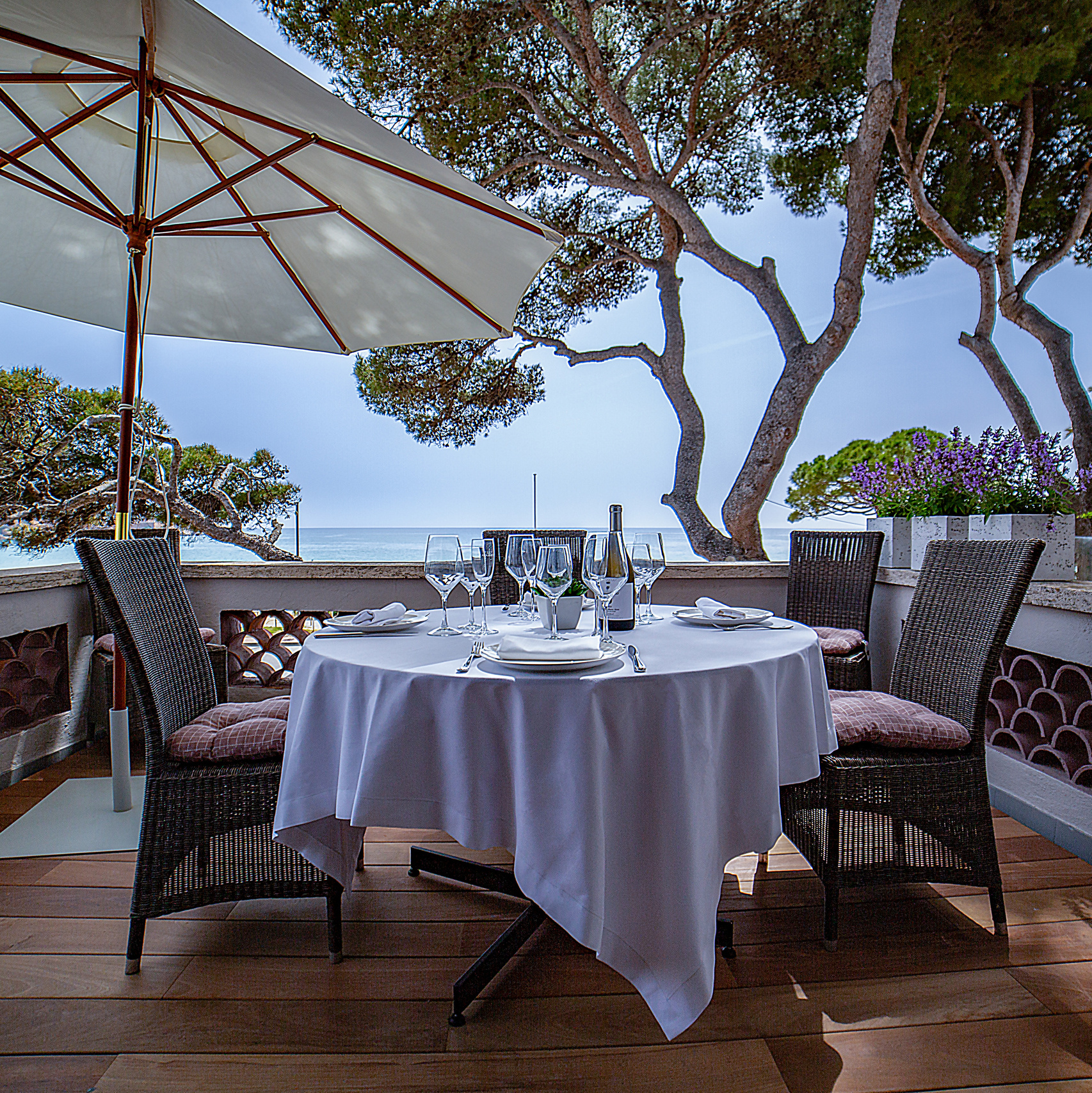 Inicio. Fotógrafo Y Videógrafo Rost Kutuzov