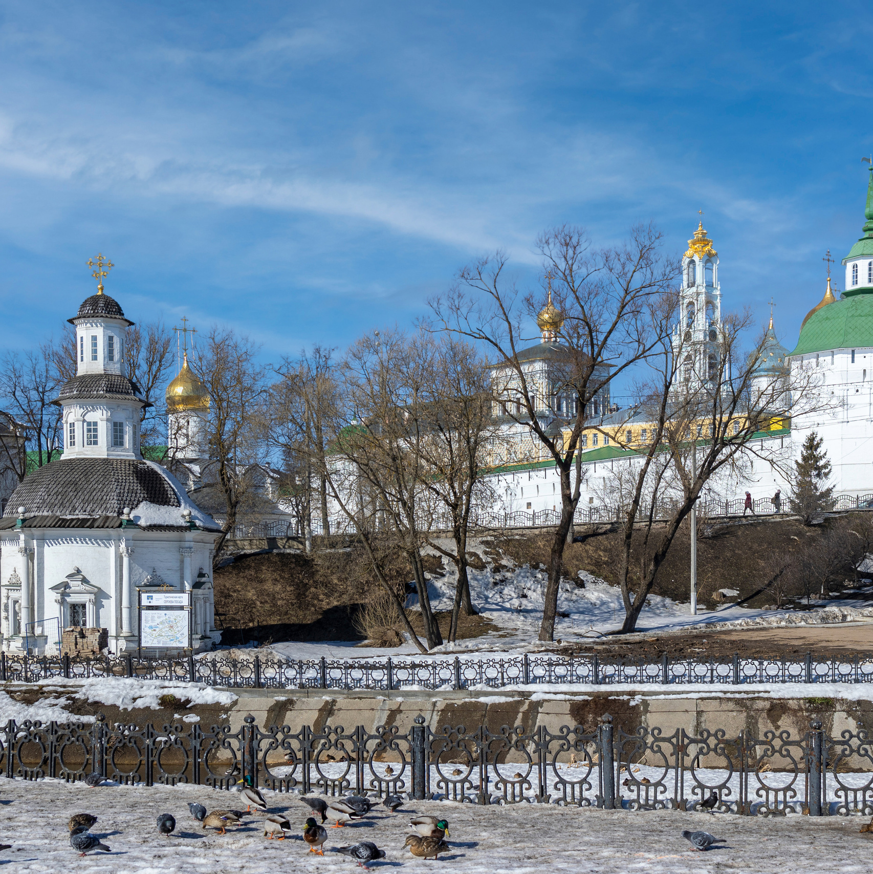 Фотография. Юрий Савин