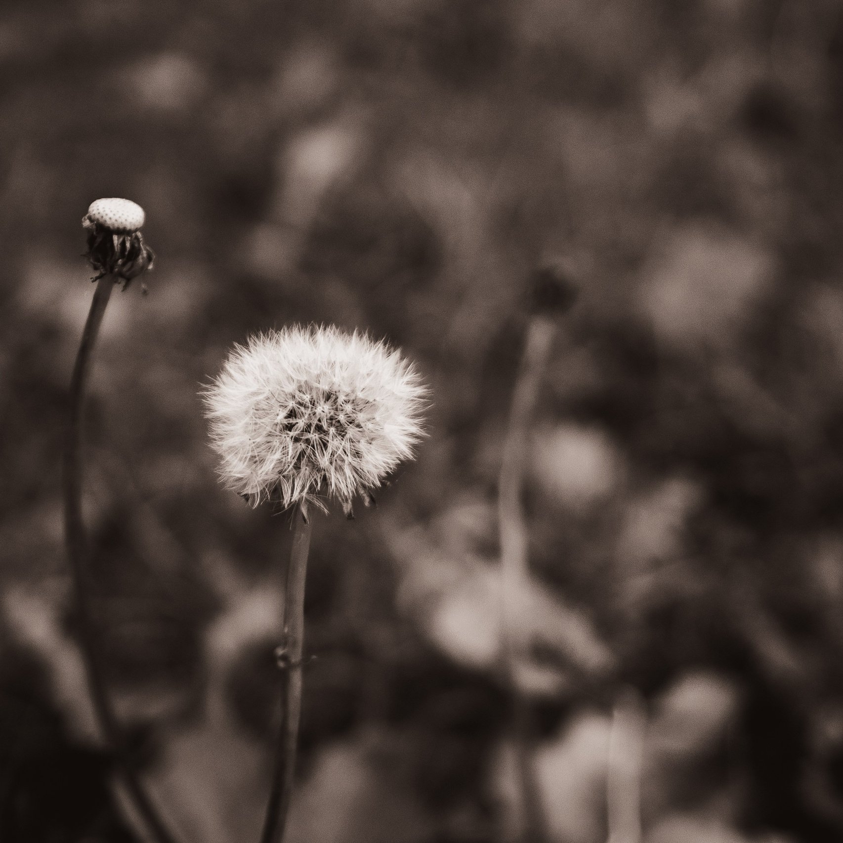 На камеру. Портретный Фотограф в Калининграде Николай Бибиков