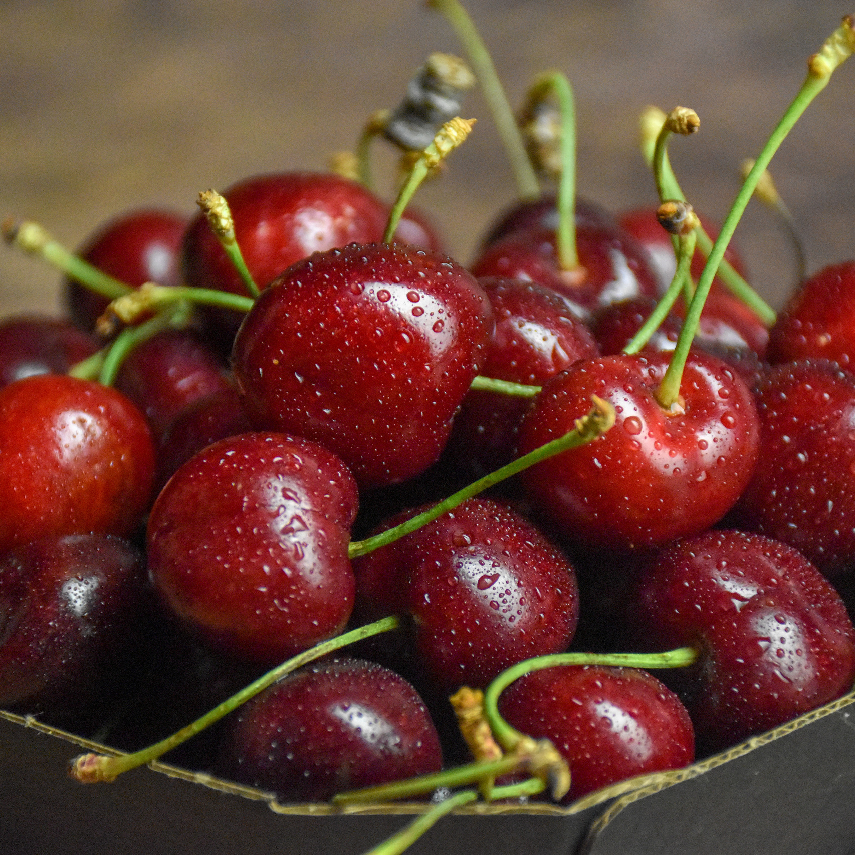 Елена Рязанцева Ваш фотограф в городе Тула