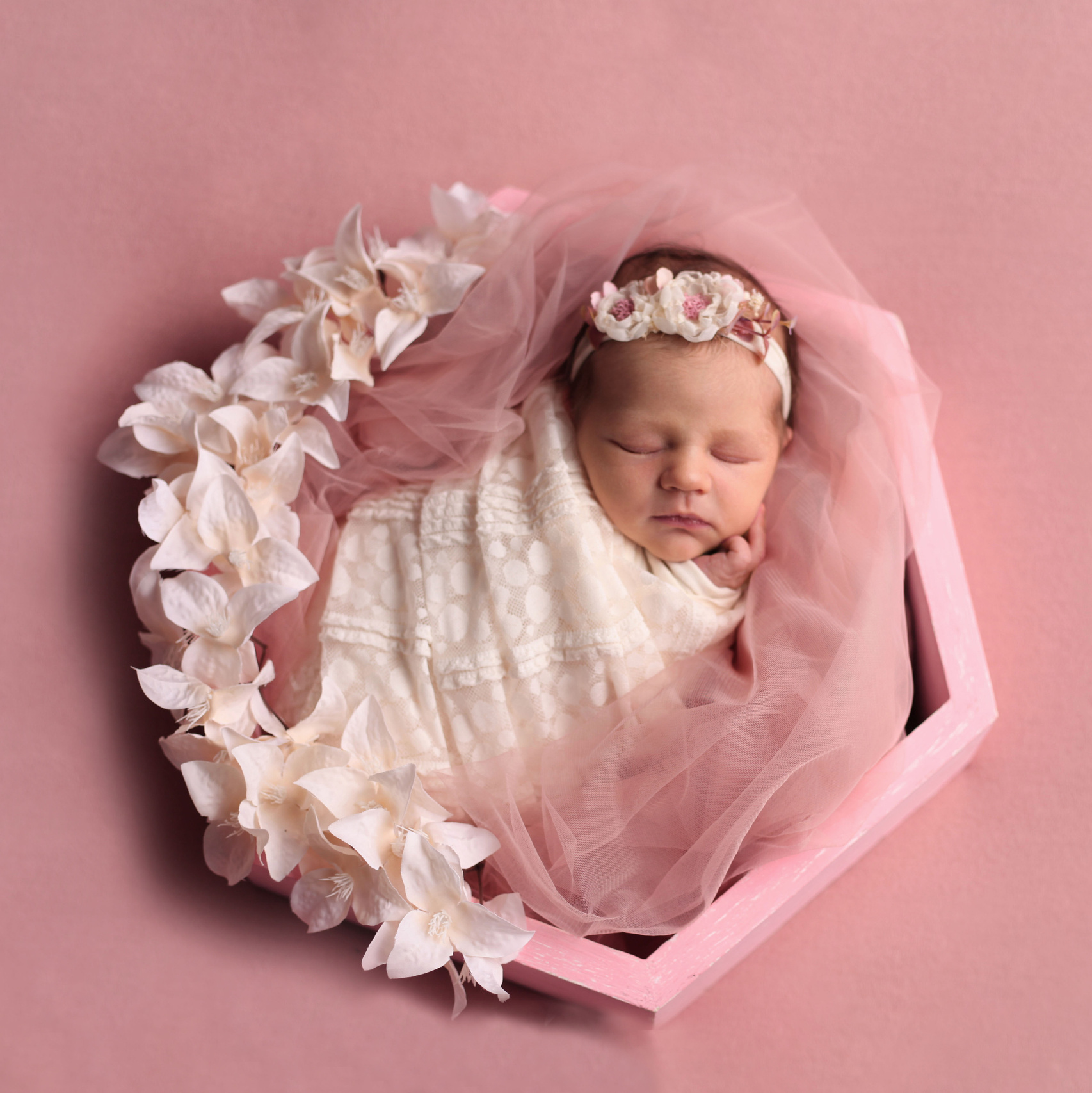 Стоимость фотосессии Новорожденных в СПб. Семейный фотограф в Санкт-Петербурге Бибаева Алла