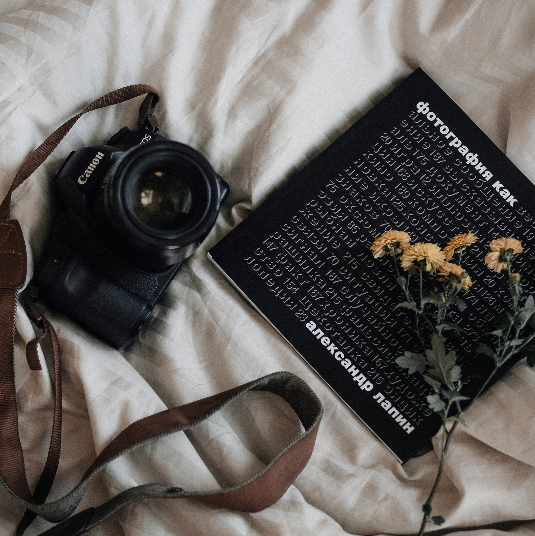 Контакты. ФОТОГРАФ РОЗА ФИЛИНА СПб I МОСКВА