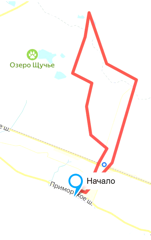 Наталья Яковлева — Комарово. Постпоэтическое