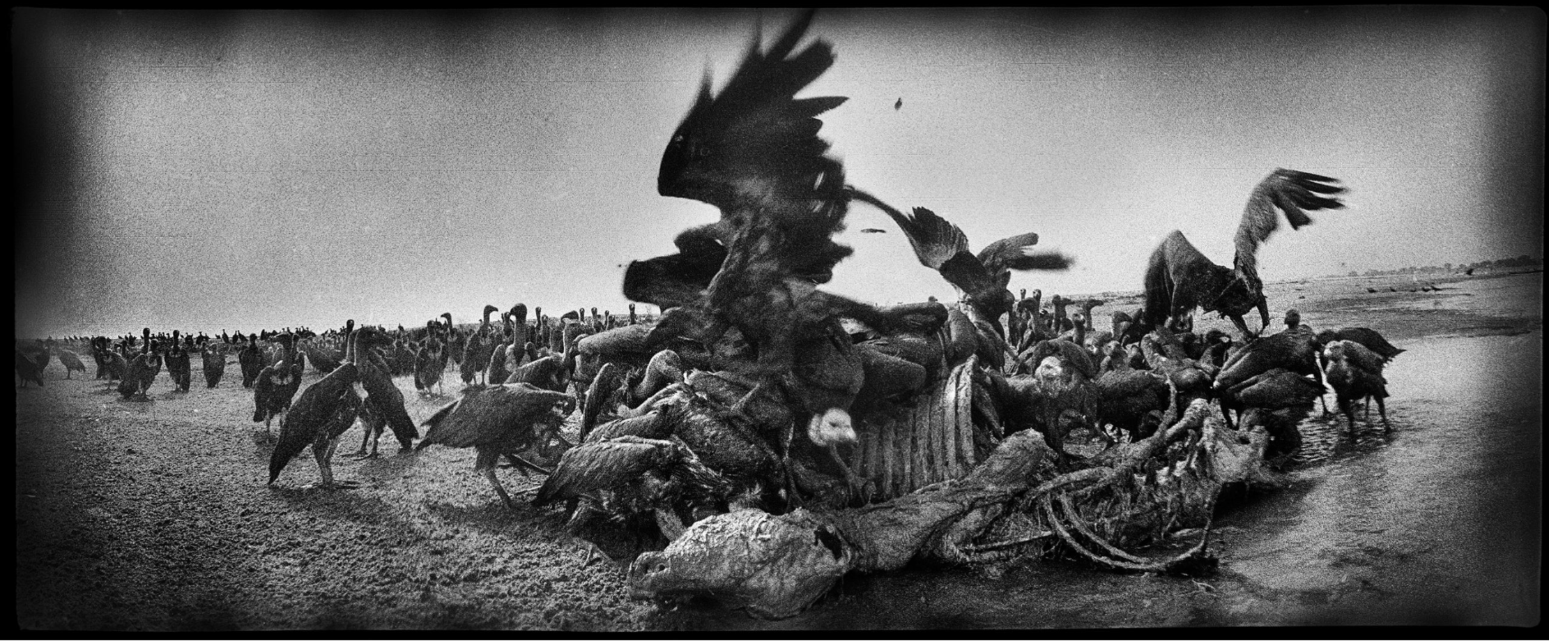 Michael Ackerman «End Time City». …