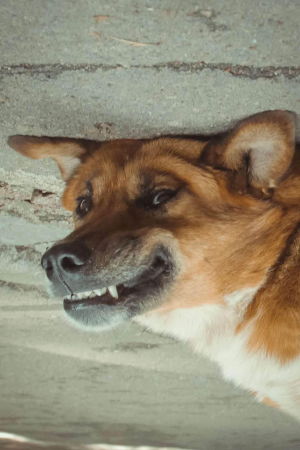 Услуги. Стрит-фотография, полная абсурда, идиотизма и красоты